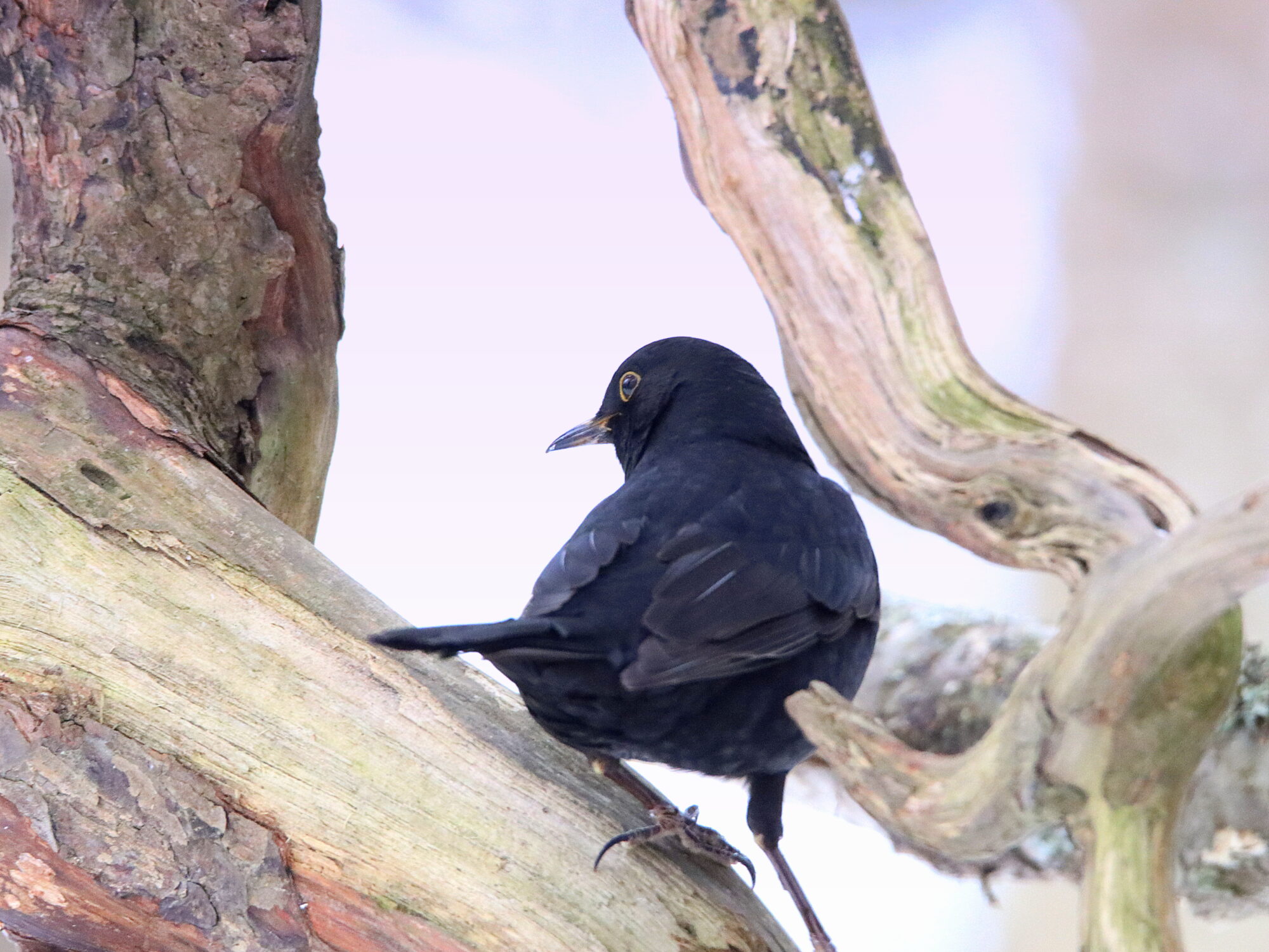Valokuvaaja: Irja Lehtinen