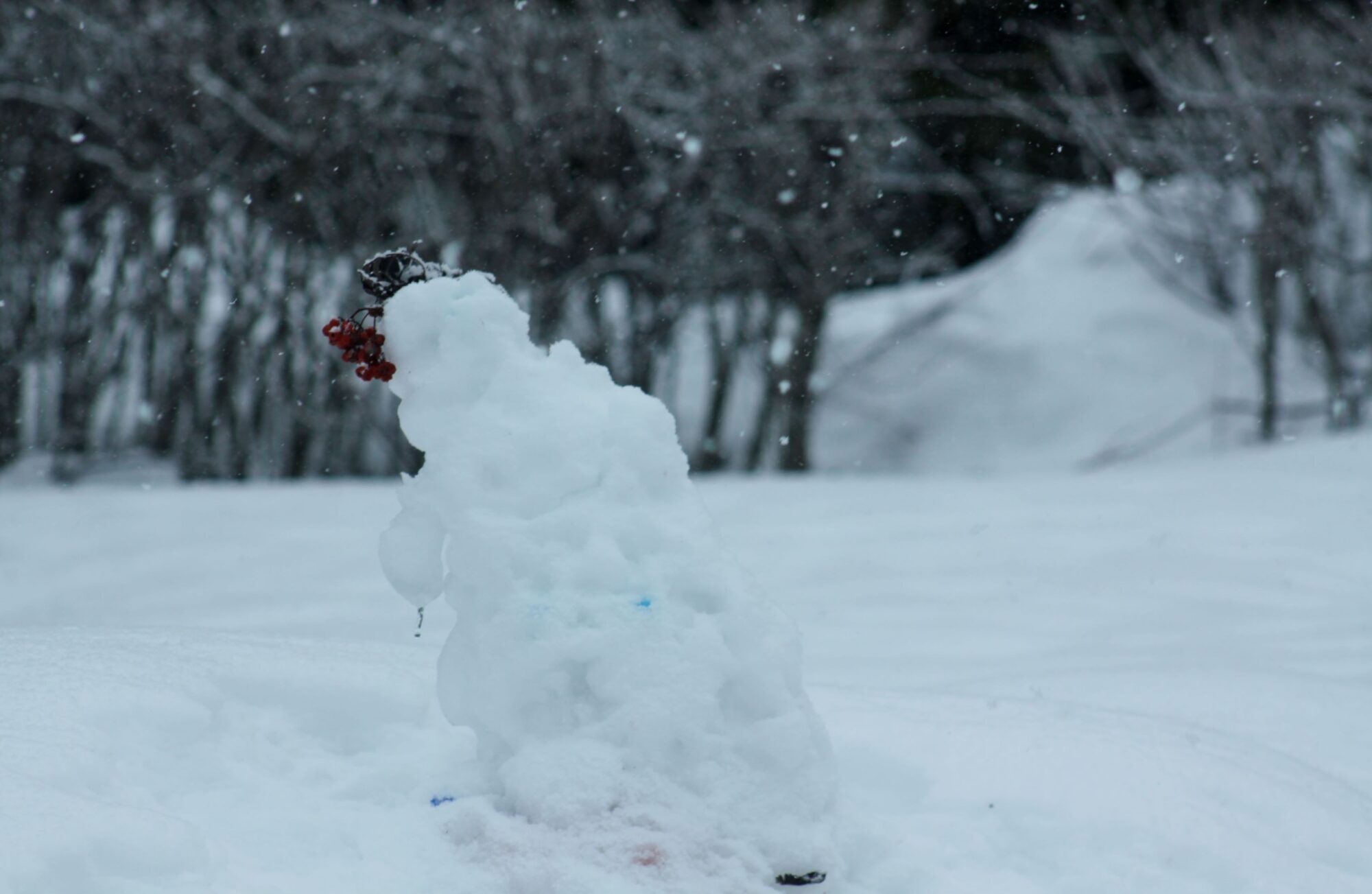 Valokuvaaja: Pirkko Siukonen