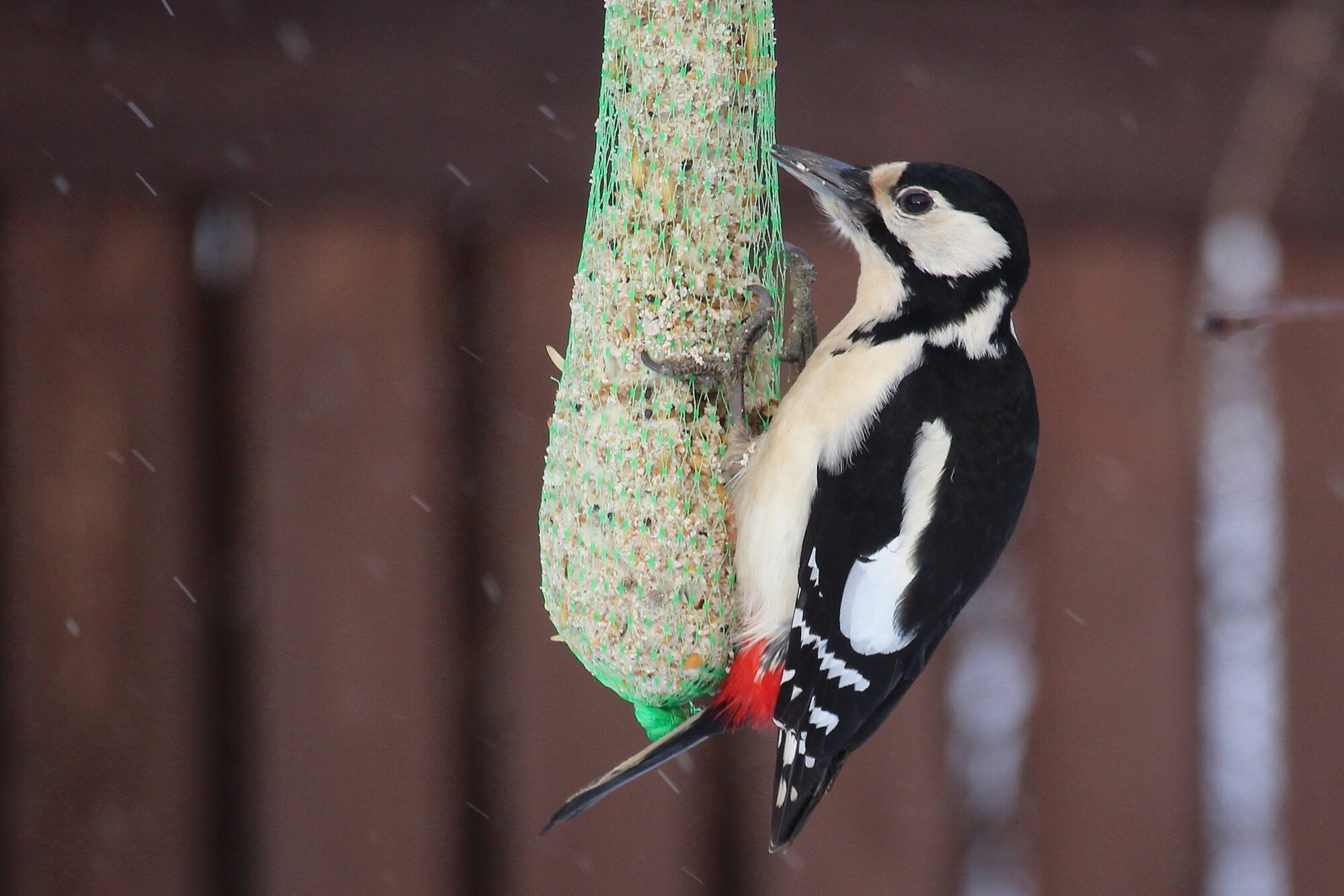 Valokuvaaja: Kirsi-Marja Joenpolvi
