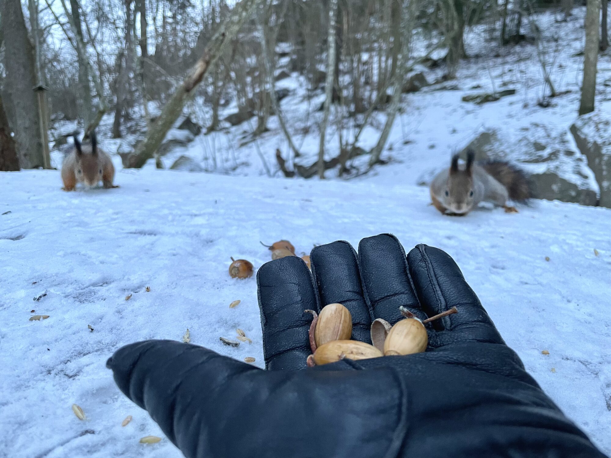 Valokuvaaja: Juhani Peltonen