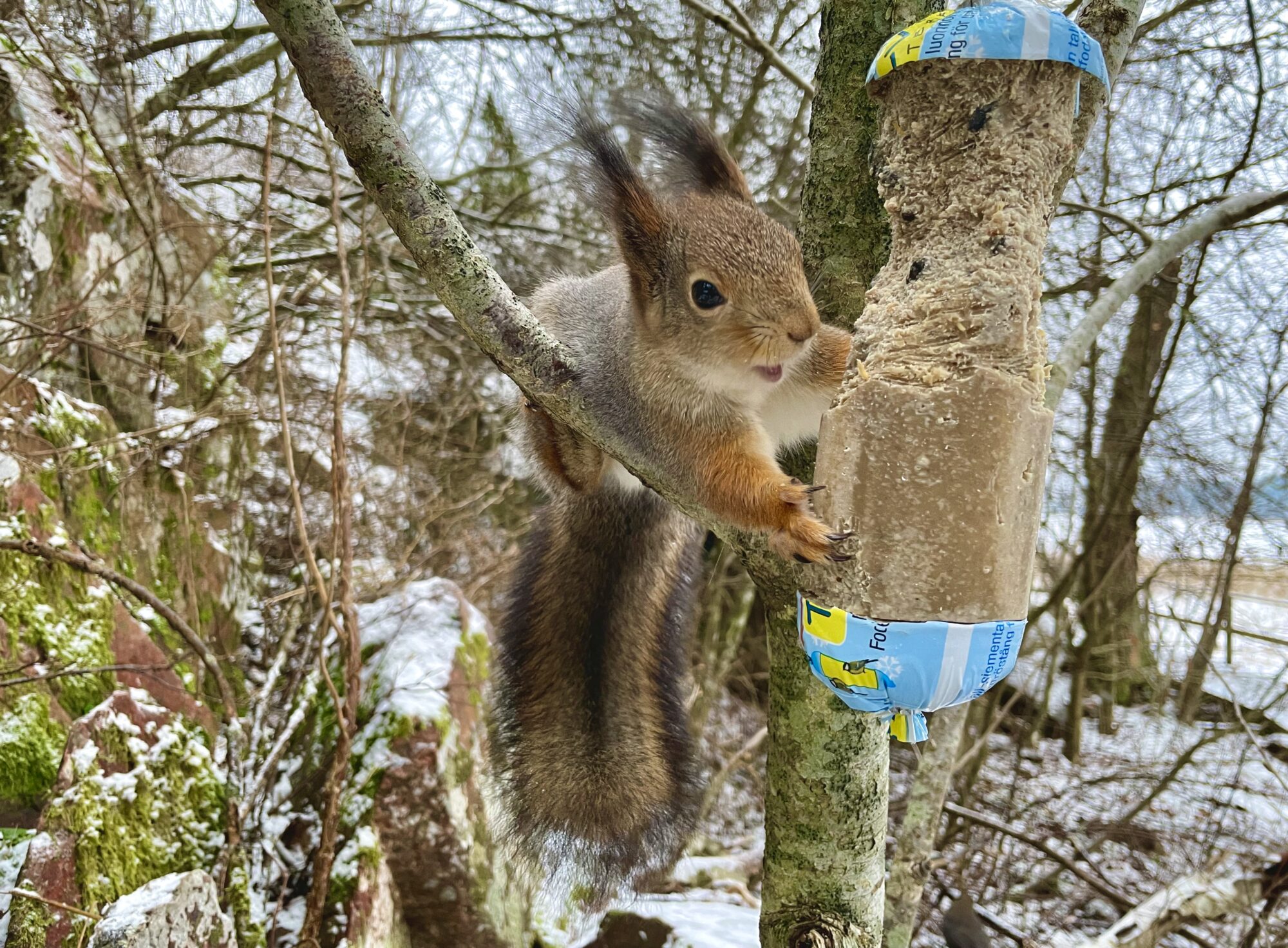 Valokuvaaja: Juhani Peltonen