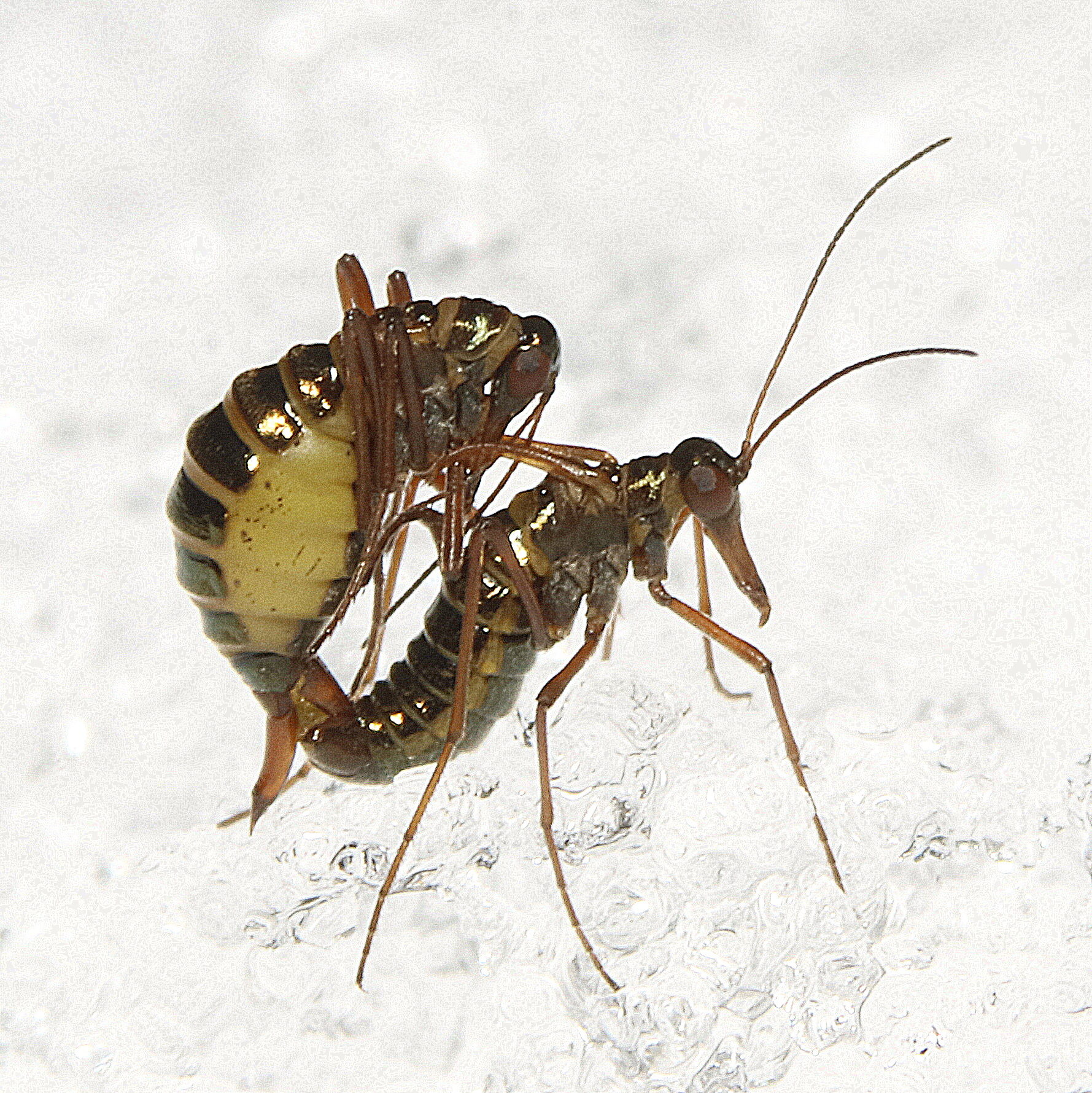 Valokuvaaja: Hannu Rasiranta