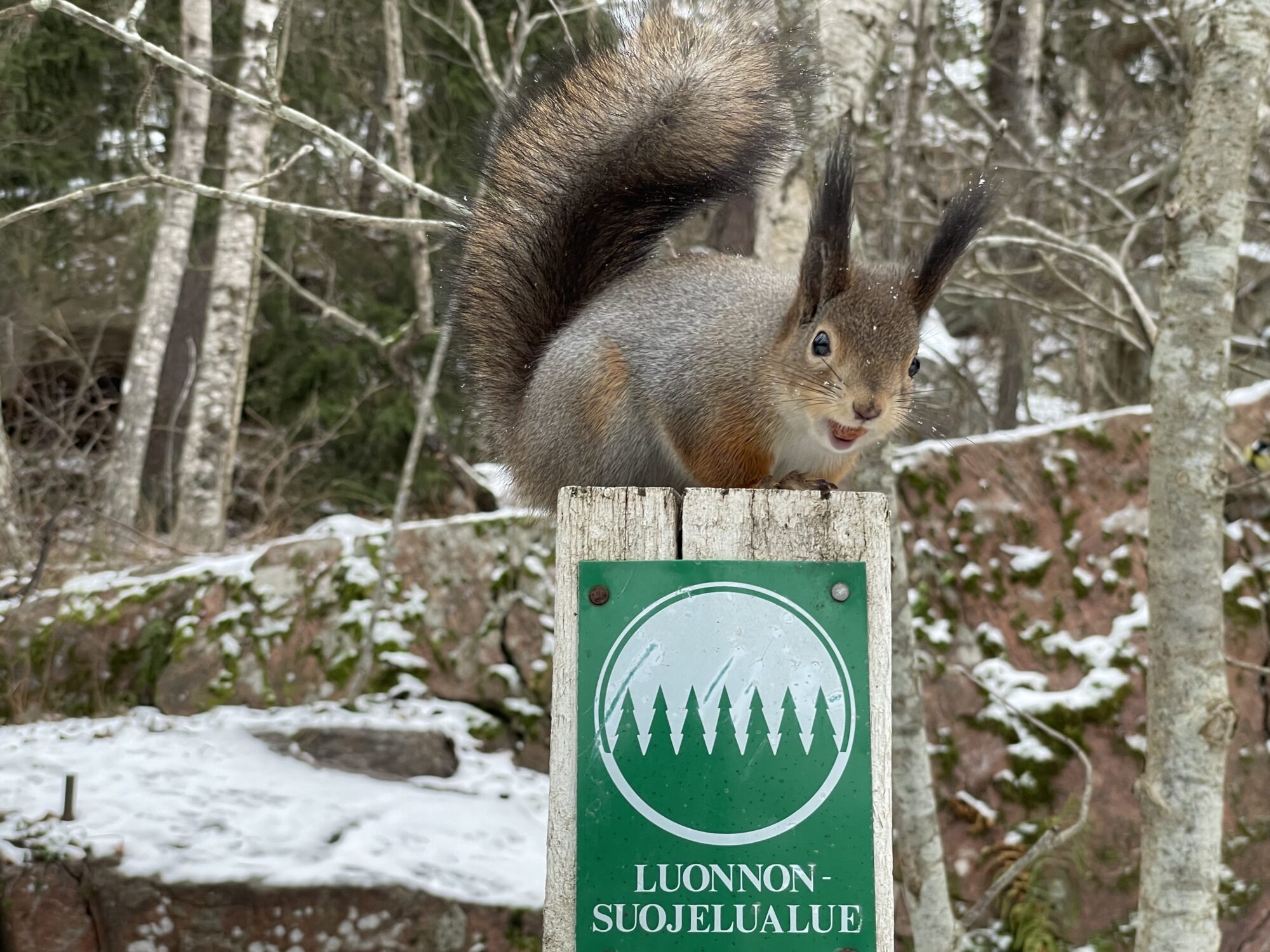 Valokuvaaja: Juhani Peltonen