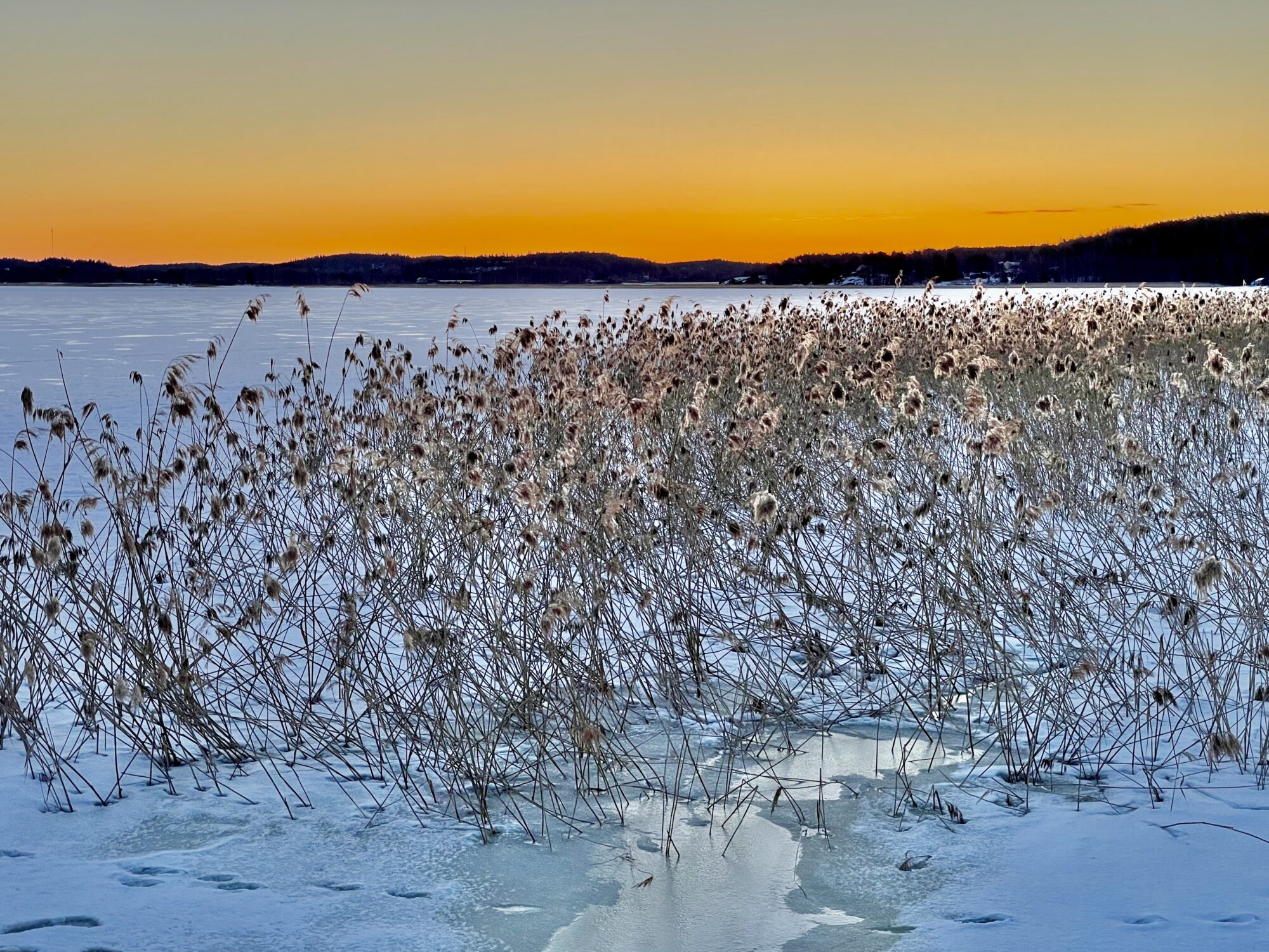 Valokuvaaja: Juhani Peltonen