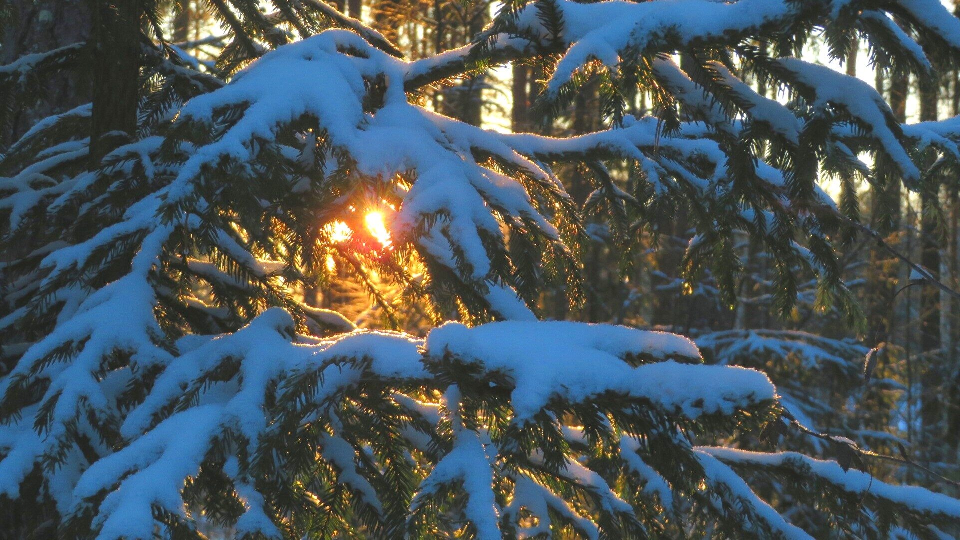 Valokuvaaja: Risto Kangassalo
