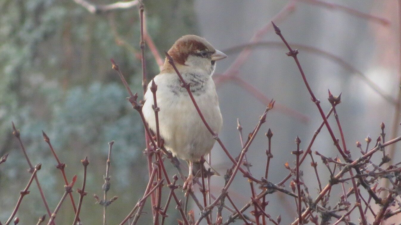 Valokuvaaja: Risto Kangassalo