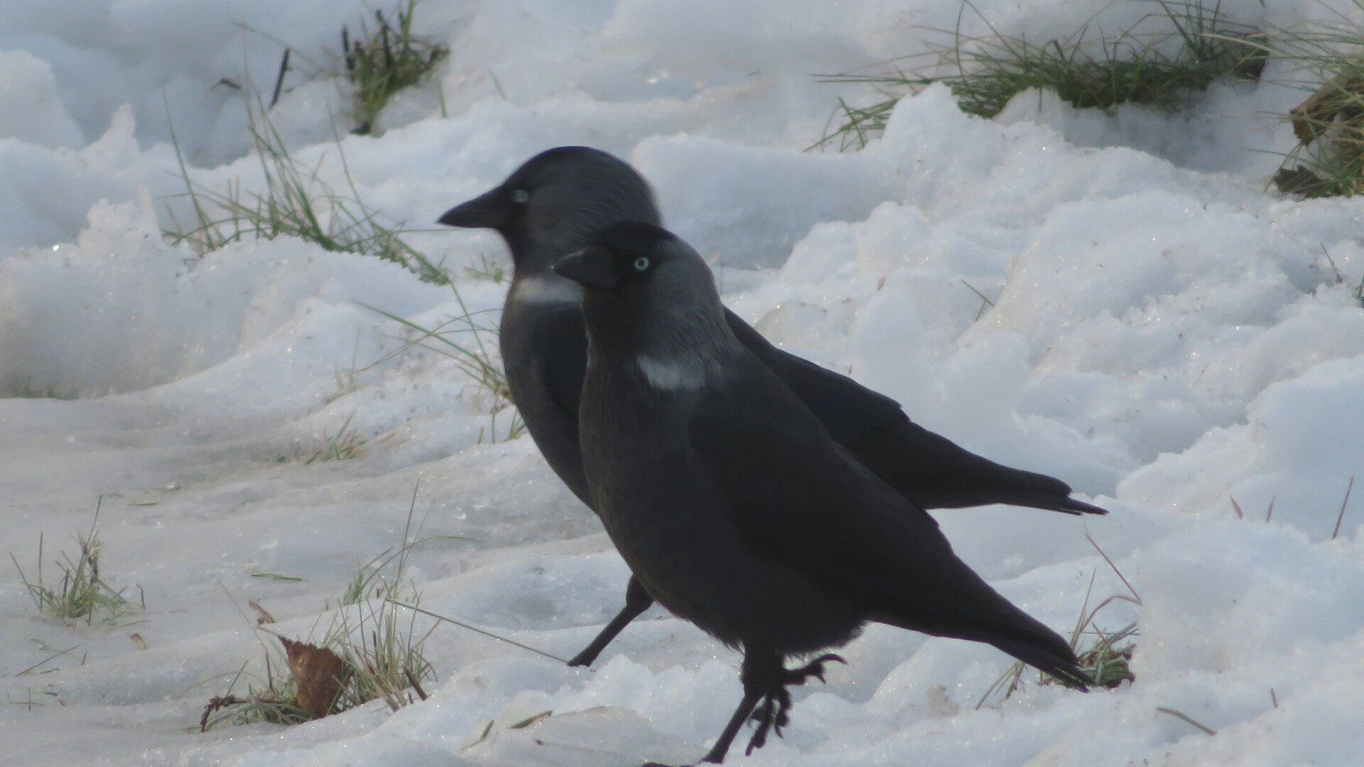 Valokuvaaja: Risto Kangassalo