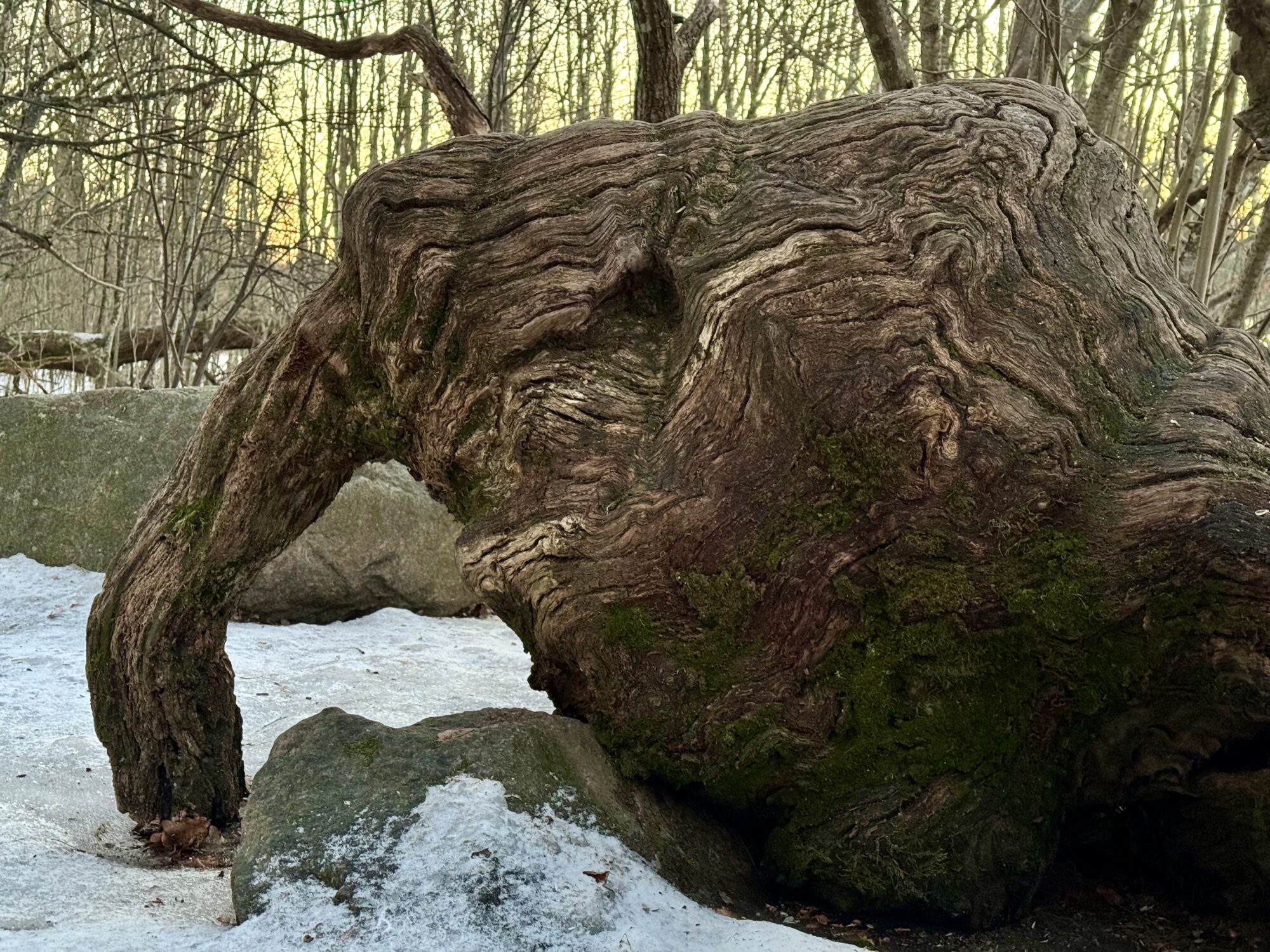 Valokuvaaja: Juhani Peltonen