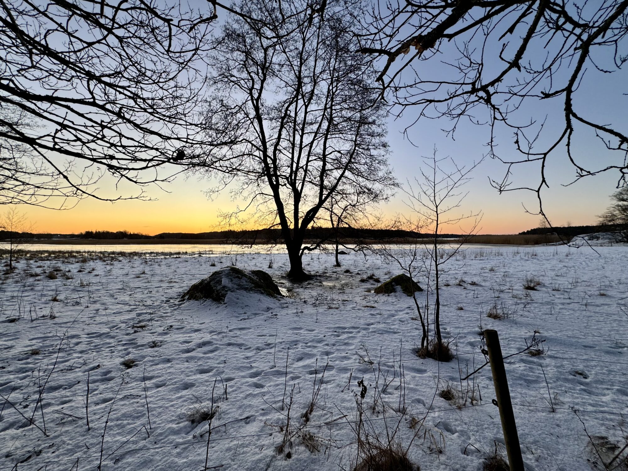 Valokuvaaja: Juhani Peltonen