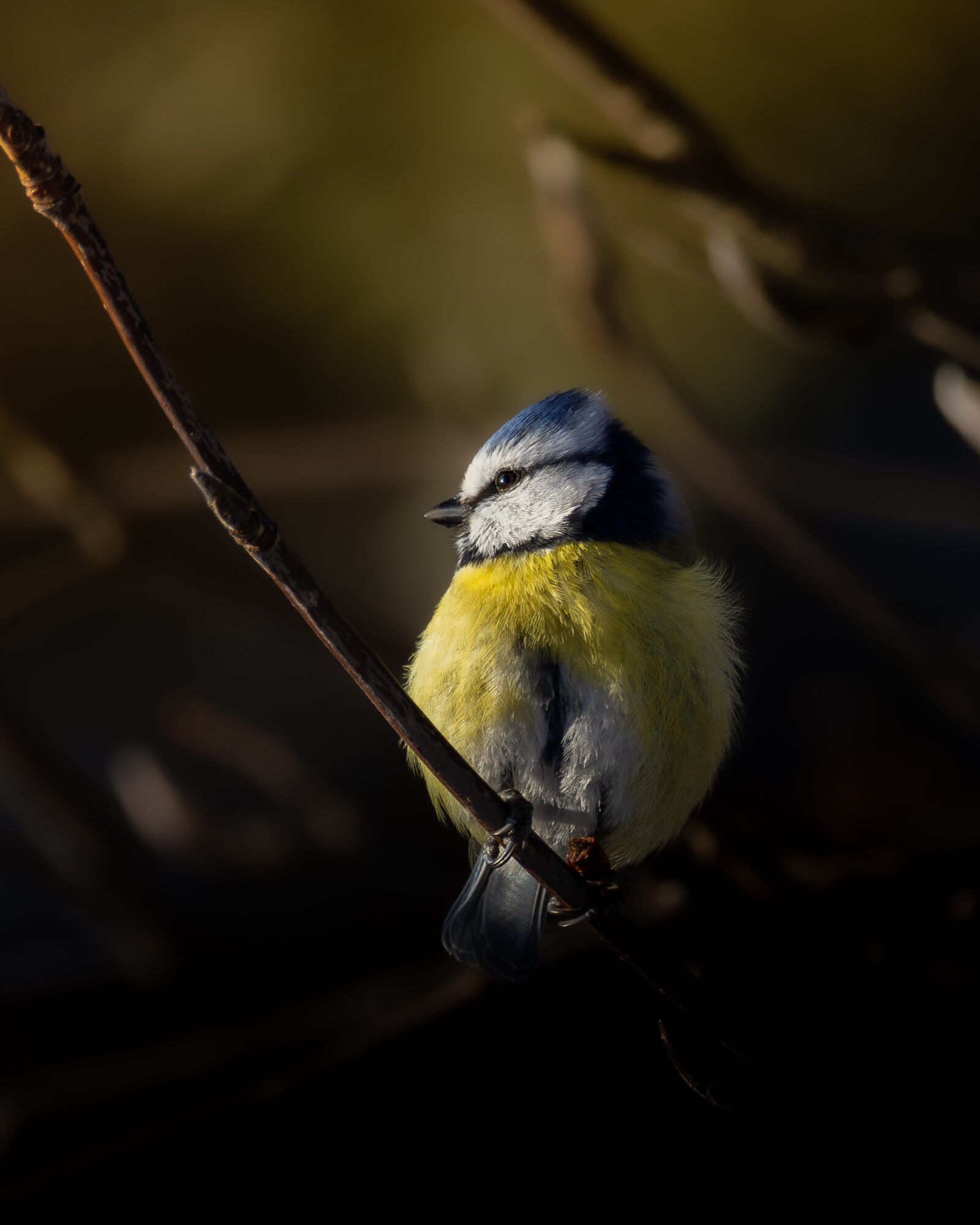 Valokuvaaja: Leevi Halme