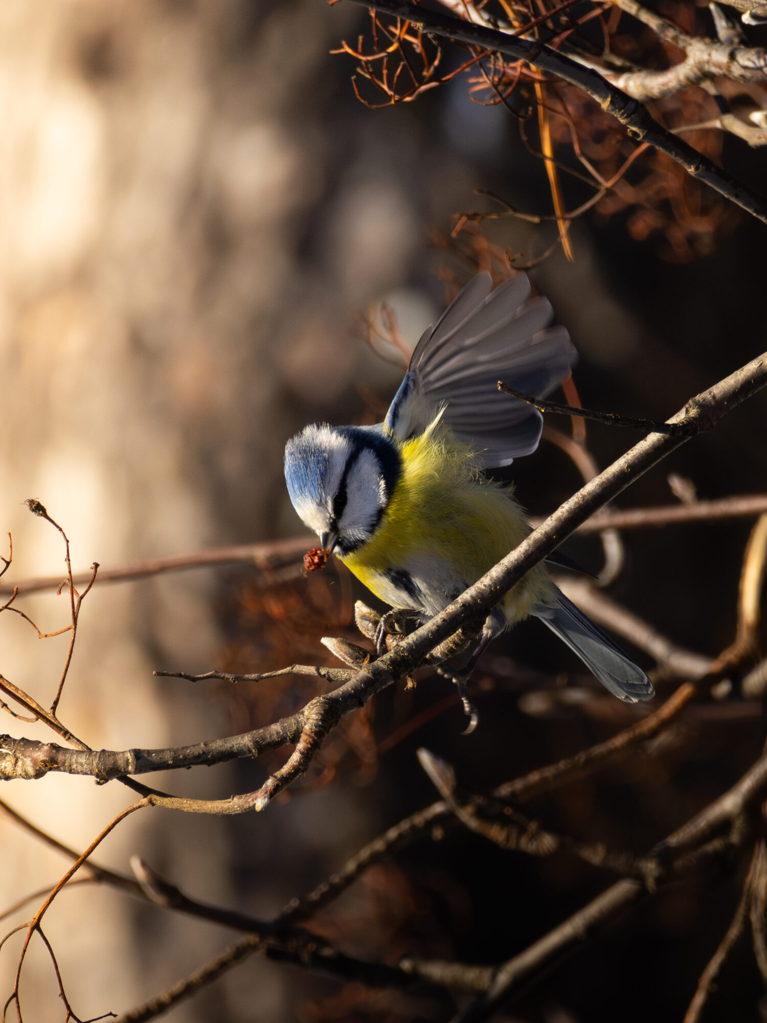 Valokuvaaja: Leevi Halme
