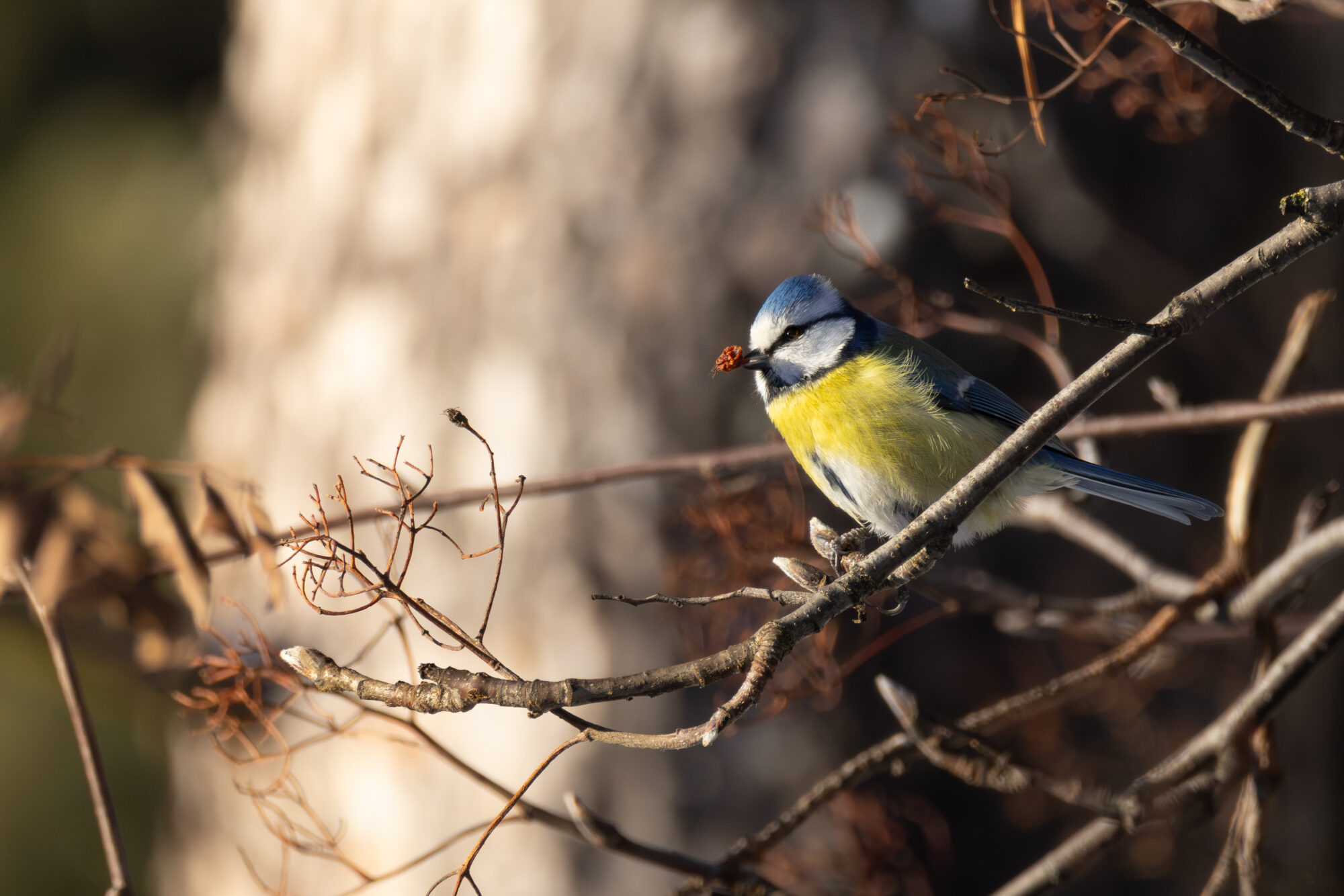 Valokuvaaja: Leevi Halme