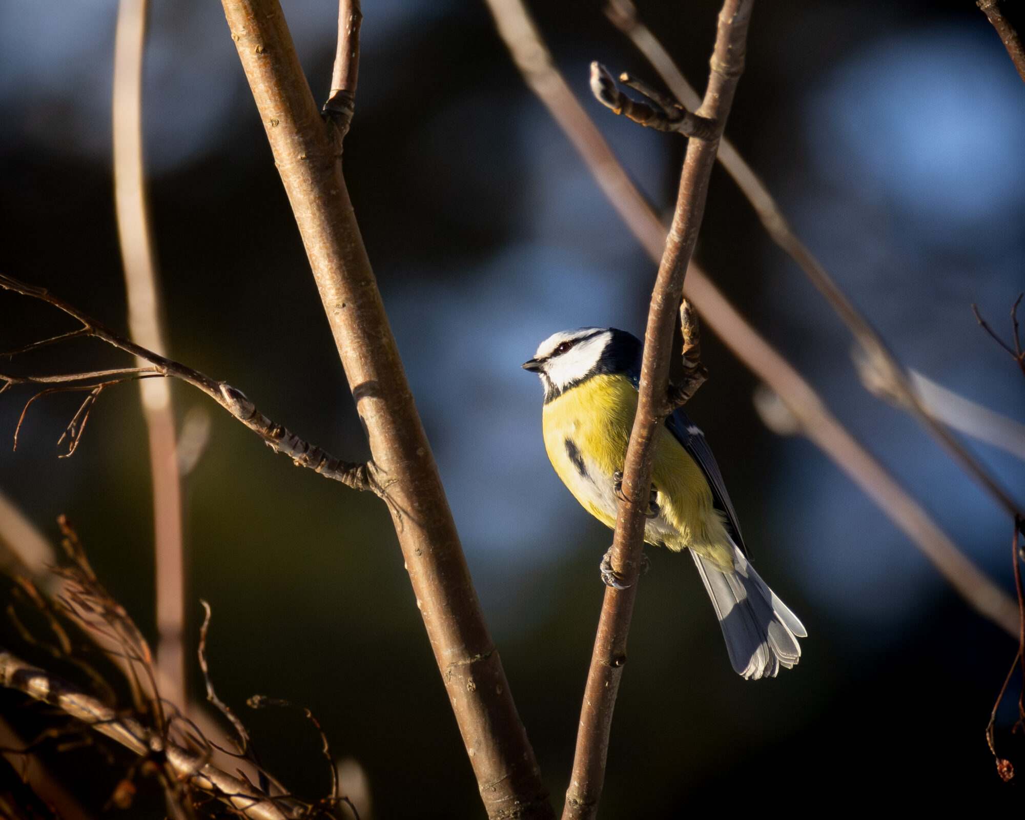 Valokuvaaja: Leevi Halme