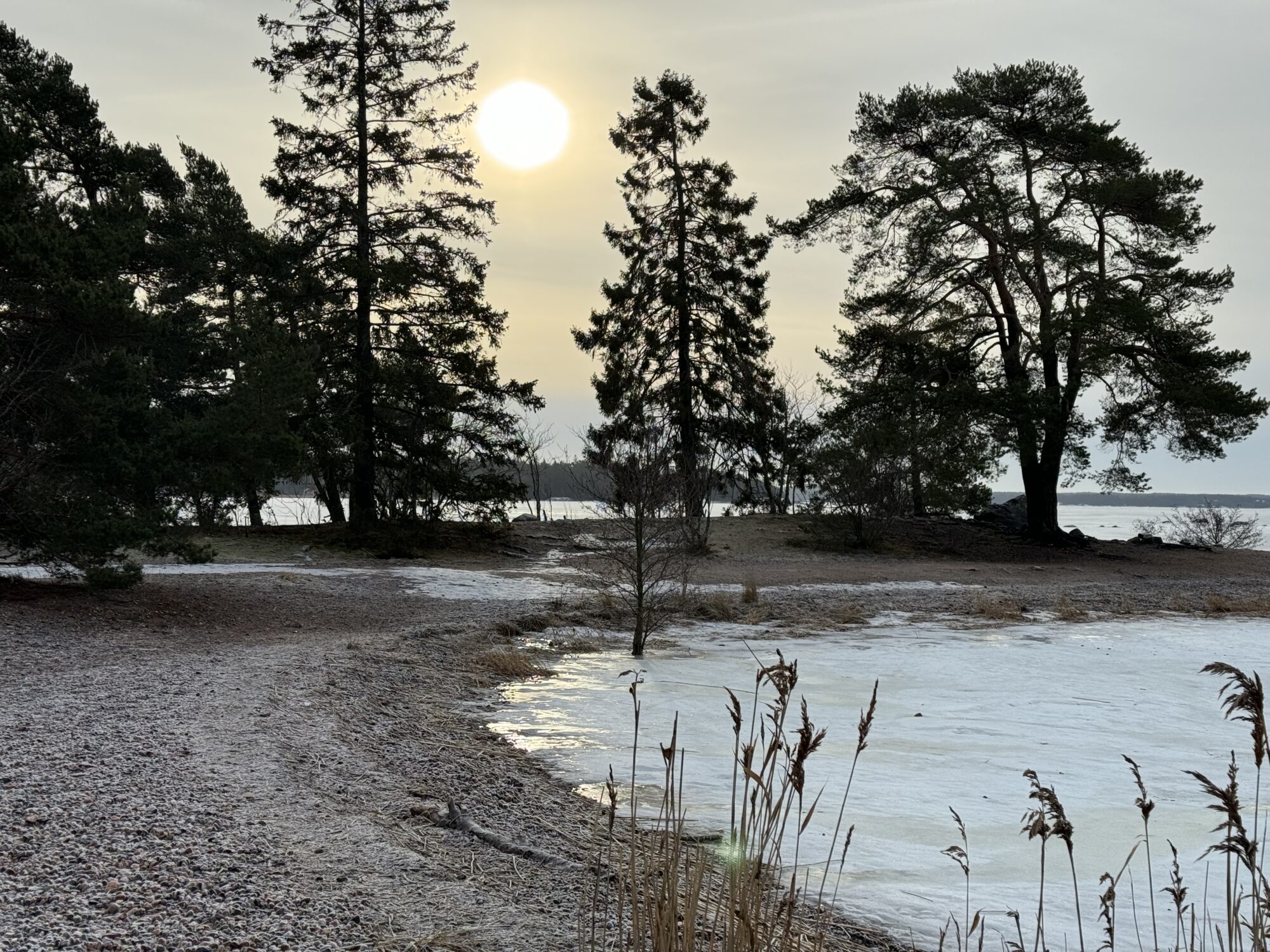 Valokuvaaja: Juhani Peltonen Valokuvaaja: Juhani Peltonen