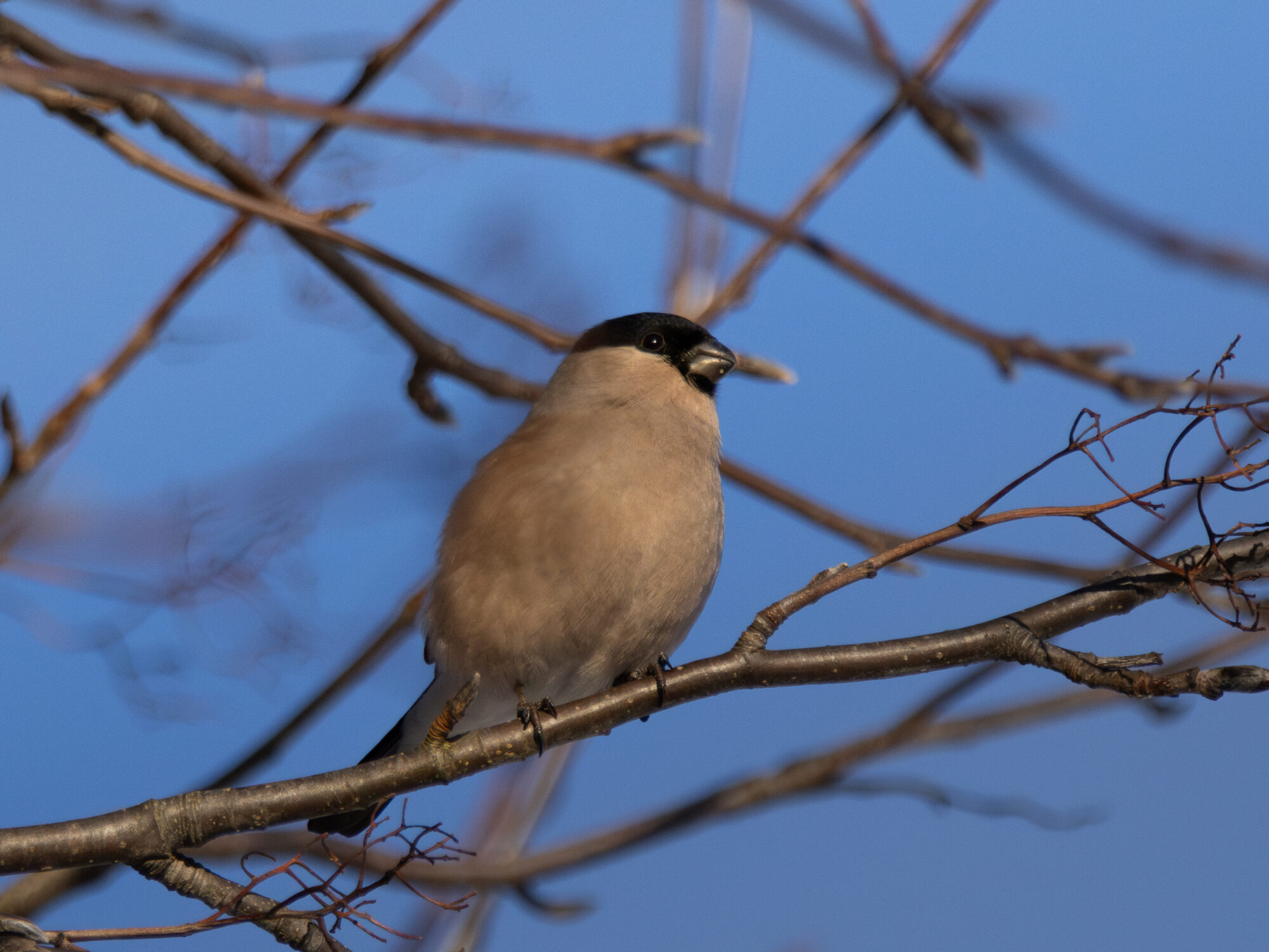 Valokuvaaja: Leevi Halme