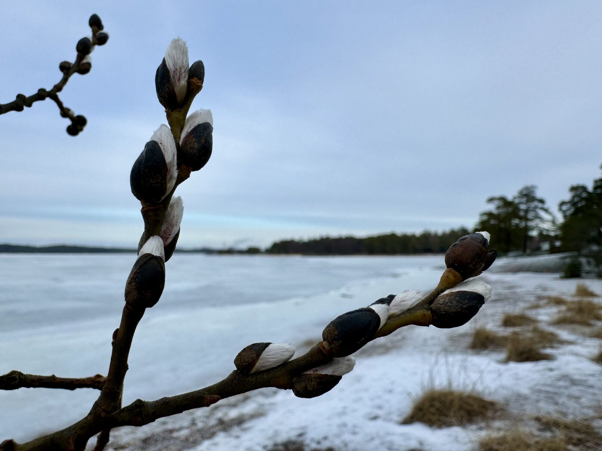 Valokuvaaja: Juhani Peltonen