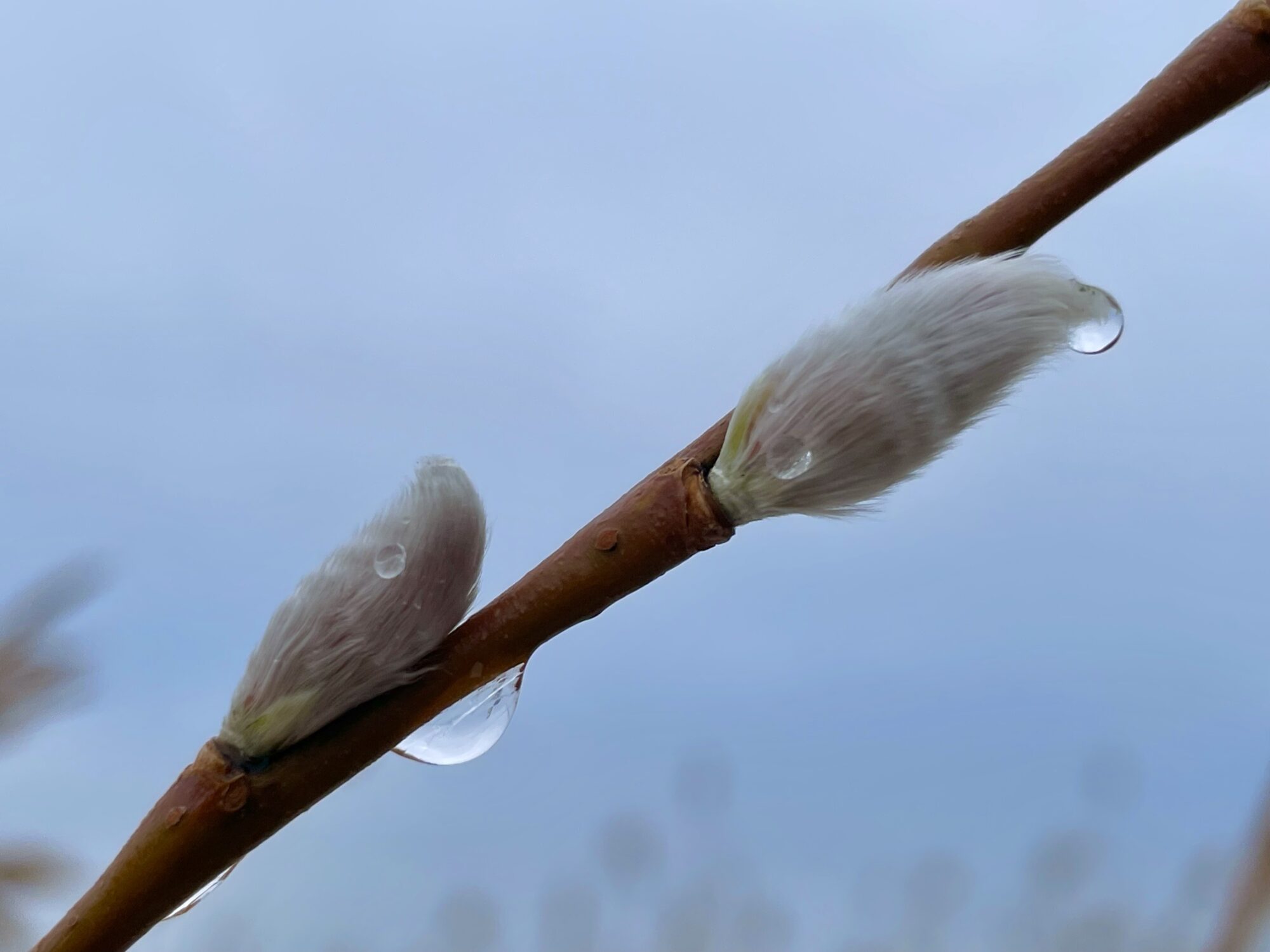 Valokuvaaja: Juhani Peltonen