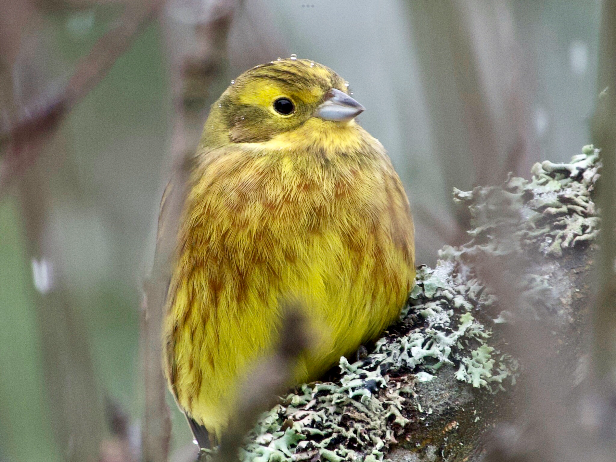 Valokuvaaja: Juha Naukkarinen