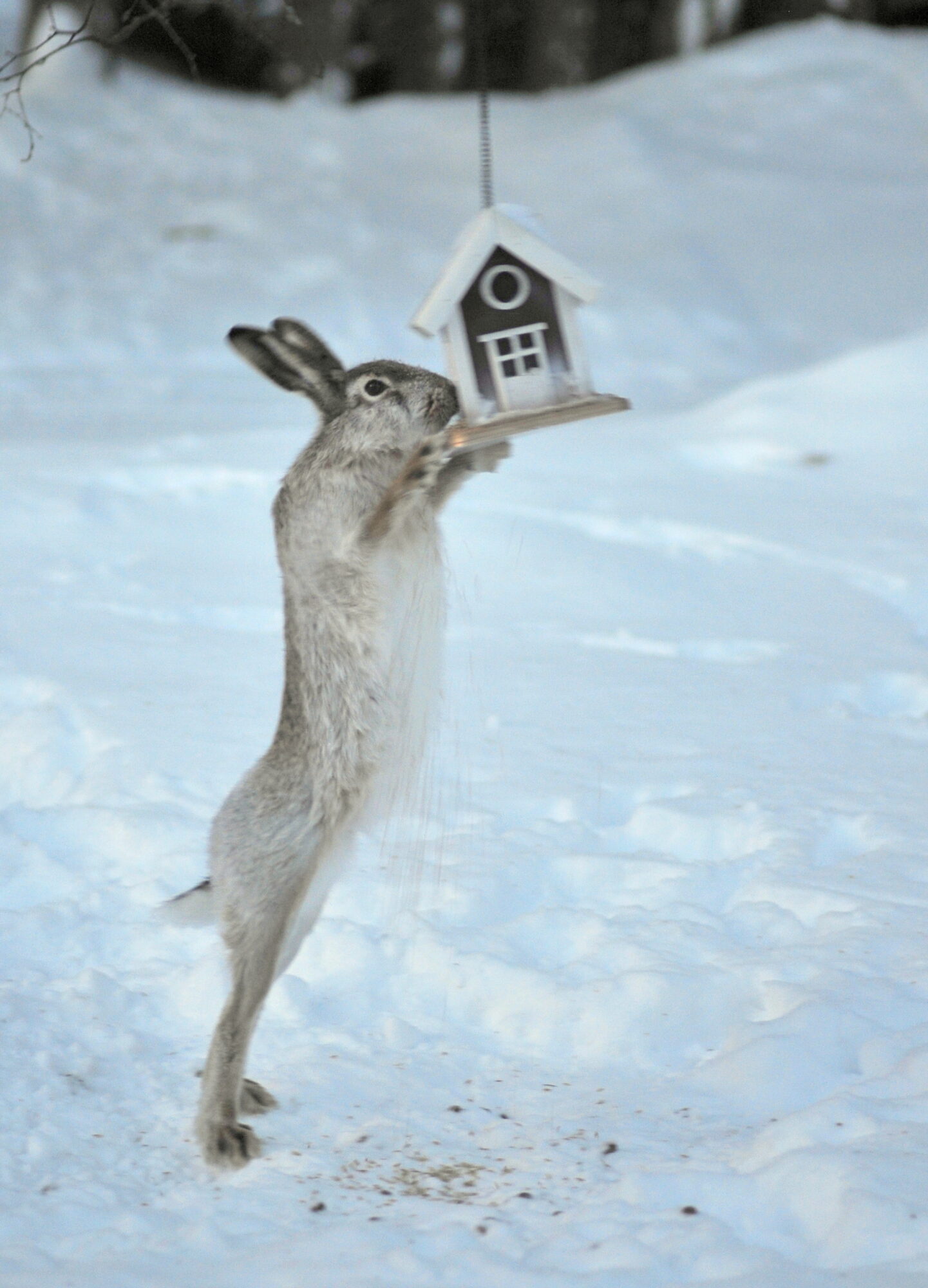 Valokuvaaja: Kaarlo Asikainen