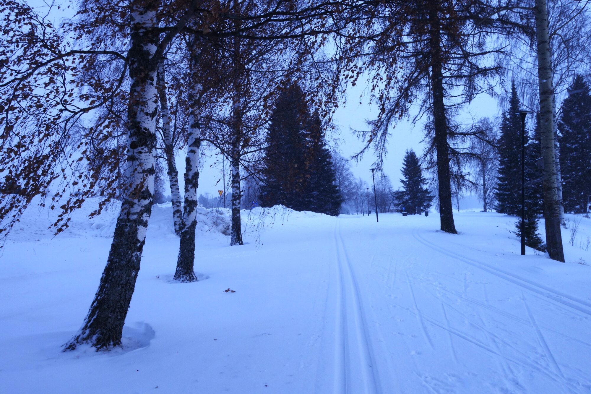 Valokuvaaja: Kaarina Heiskanen