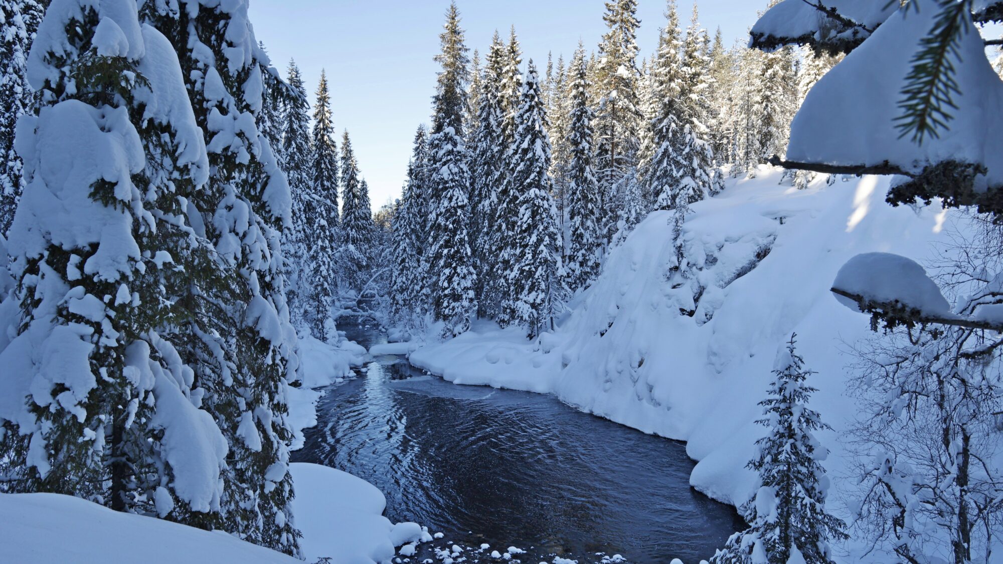 Valokuvaaja: TOMMI KUJALA