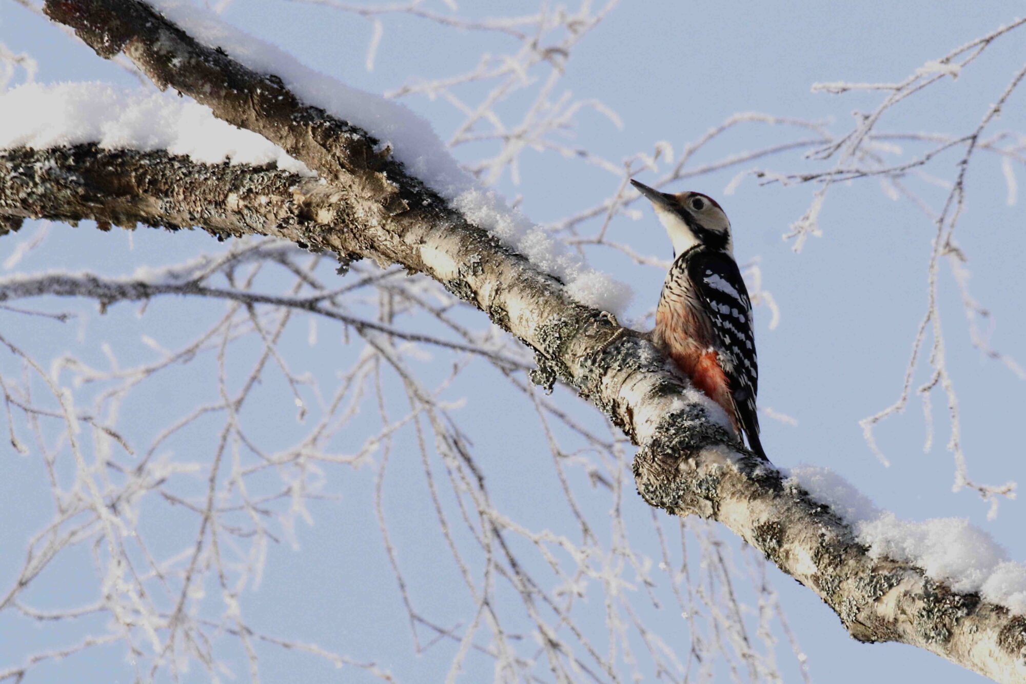 Valokuvaaja: Antero Tykkyläinen