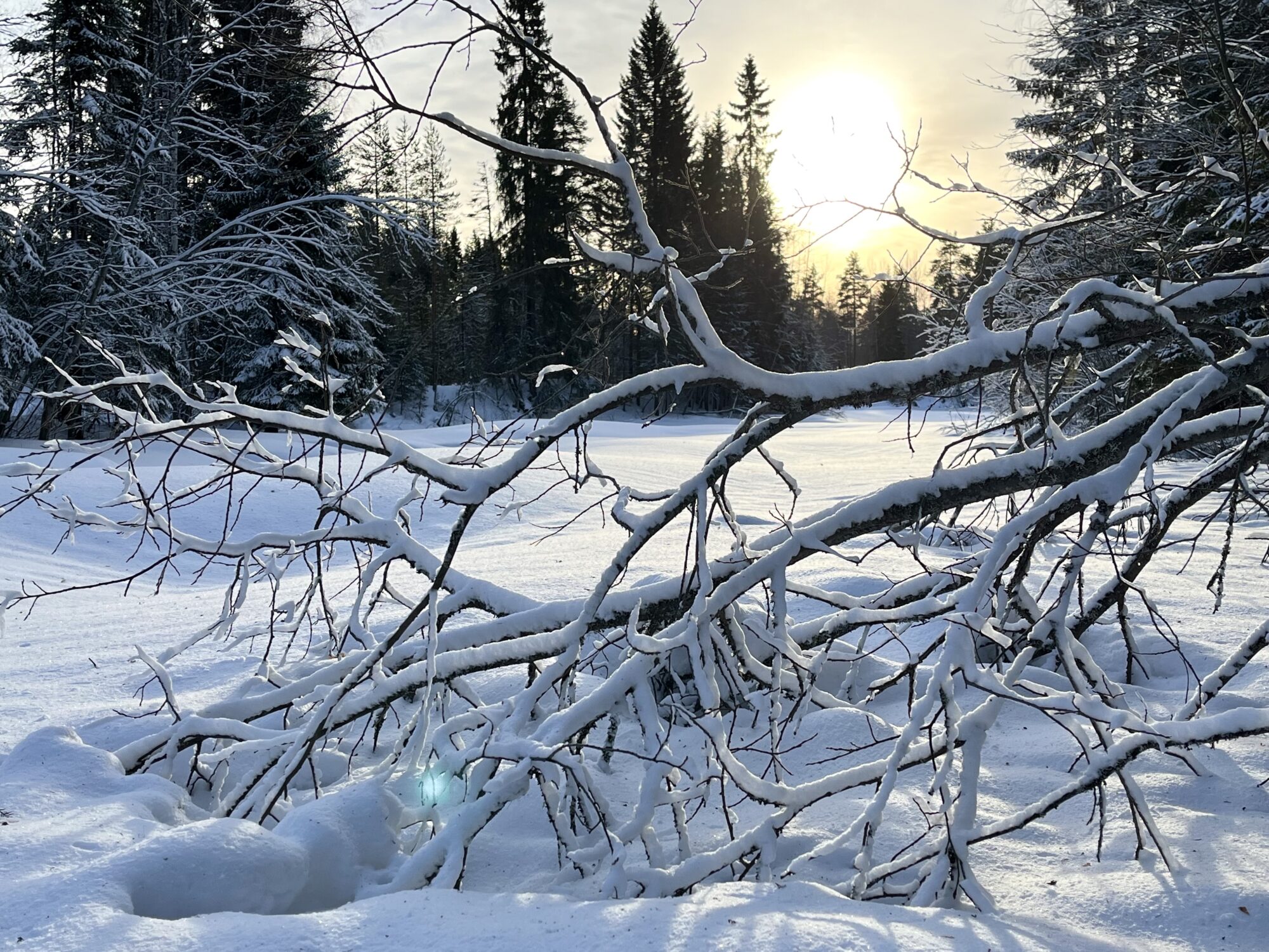 Valokuvaaja: Tuukka Pahtamaa