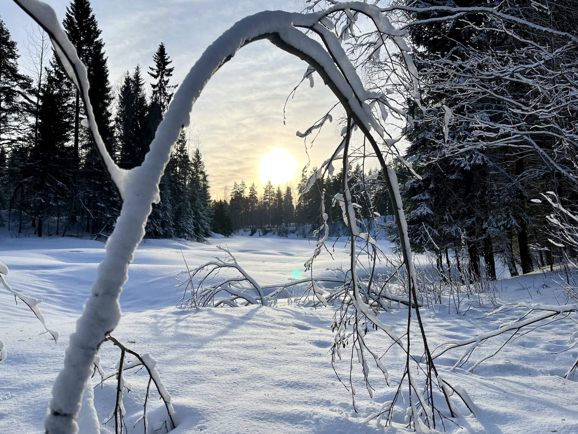 Valokuvaaja: Tuukka Pahtamaa