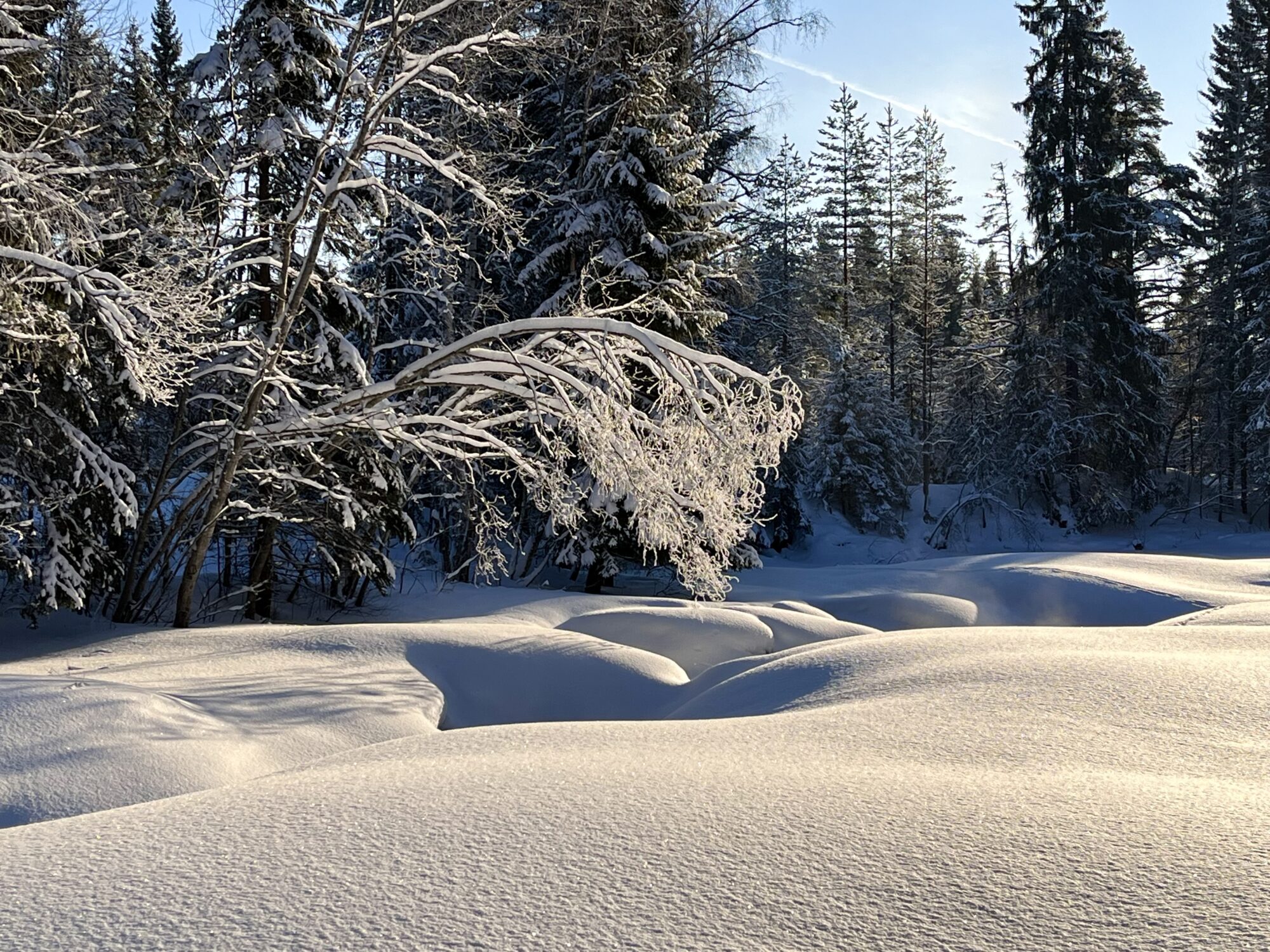 Valokuvaaja: Tuukka Pahtamaa
