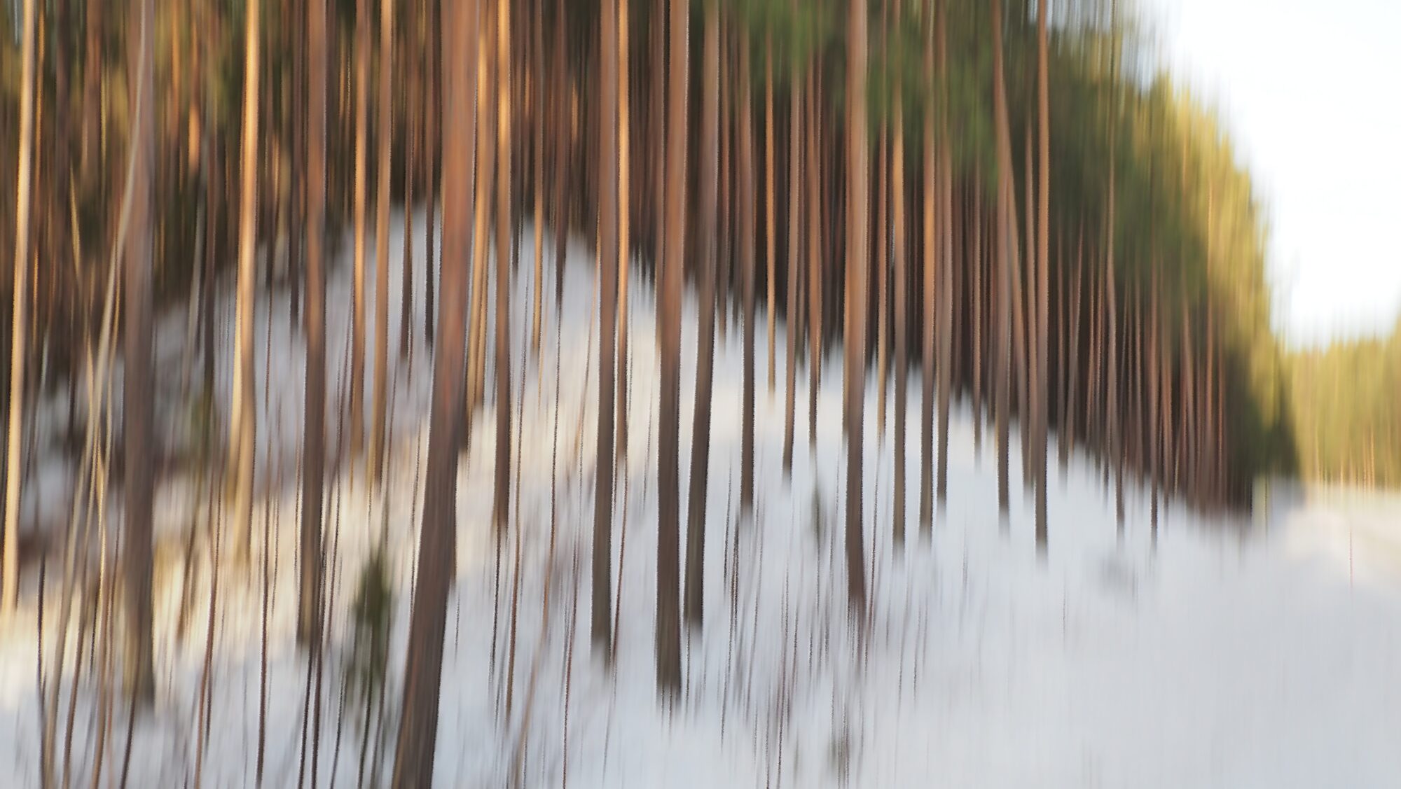 Valokuvaaja: Arja Valtonen