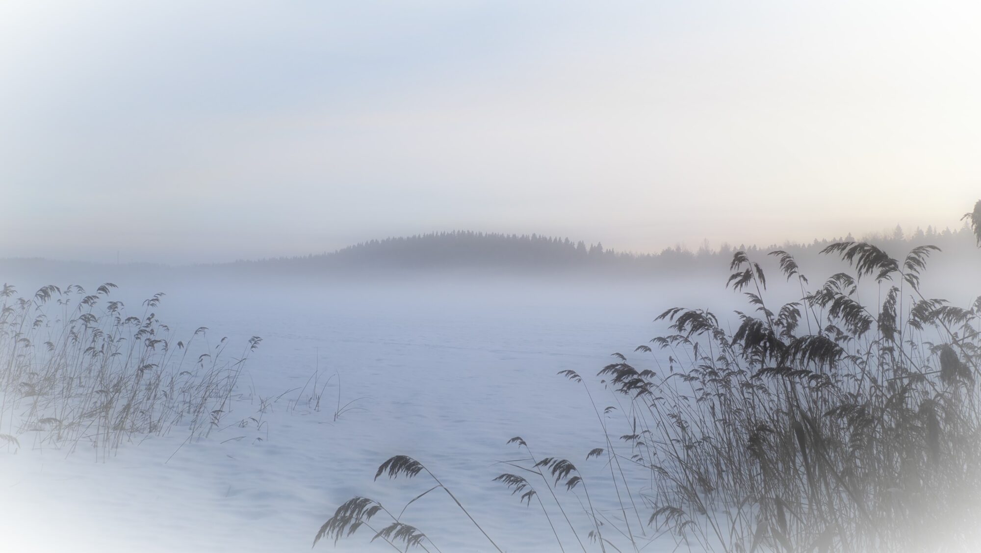 Valokuvaaja: Arja Valtonen Valokuvaaja: Arja Valtonen