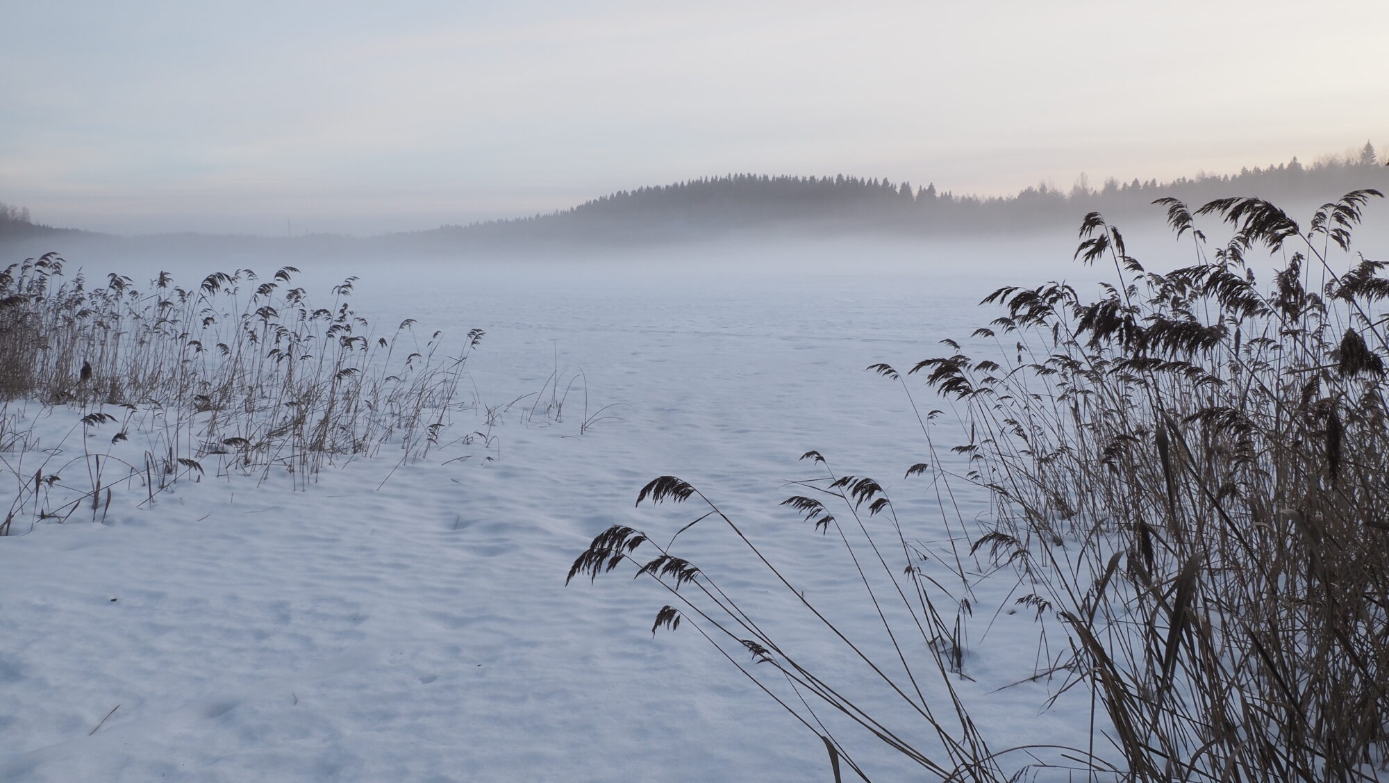 Valokuvaaja: Arja Valtonen