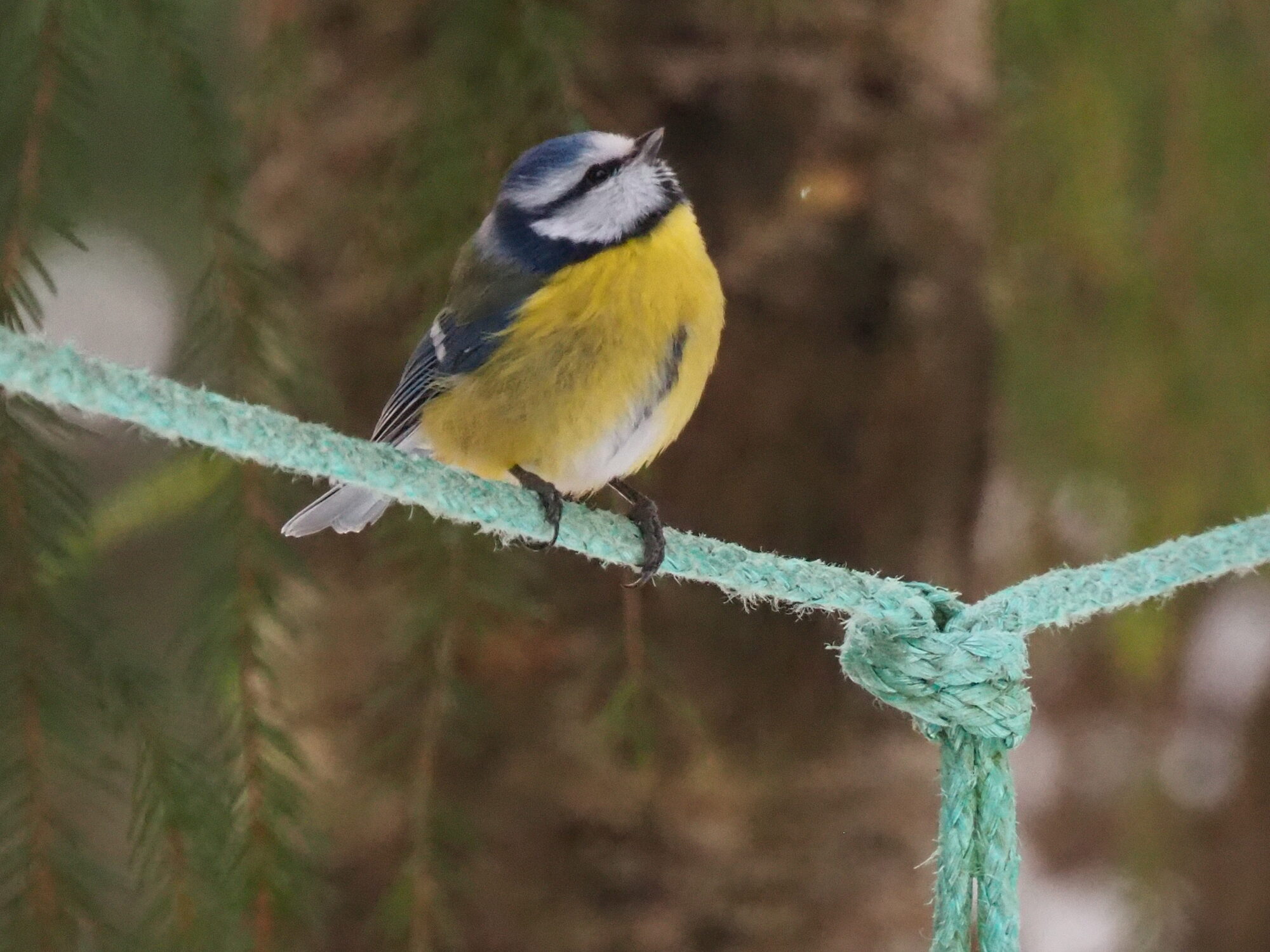 Valokuvaaja: Martti Valtonen