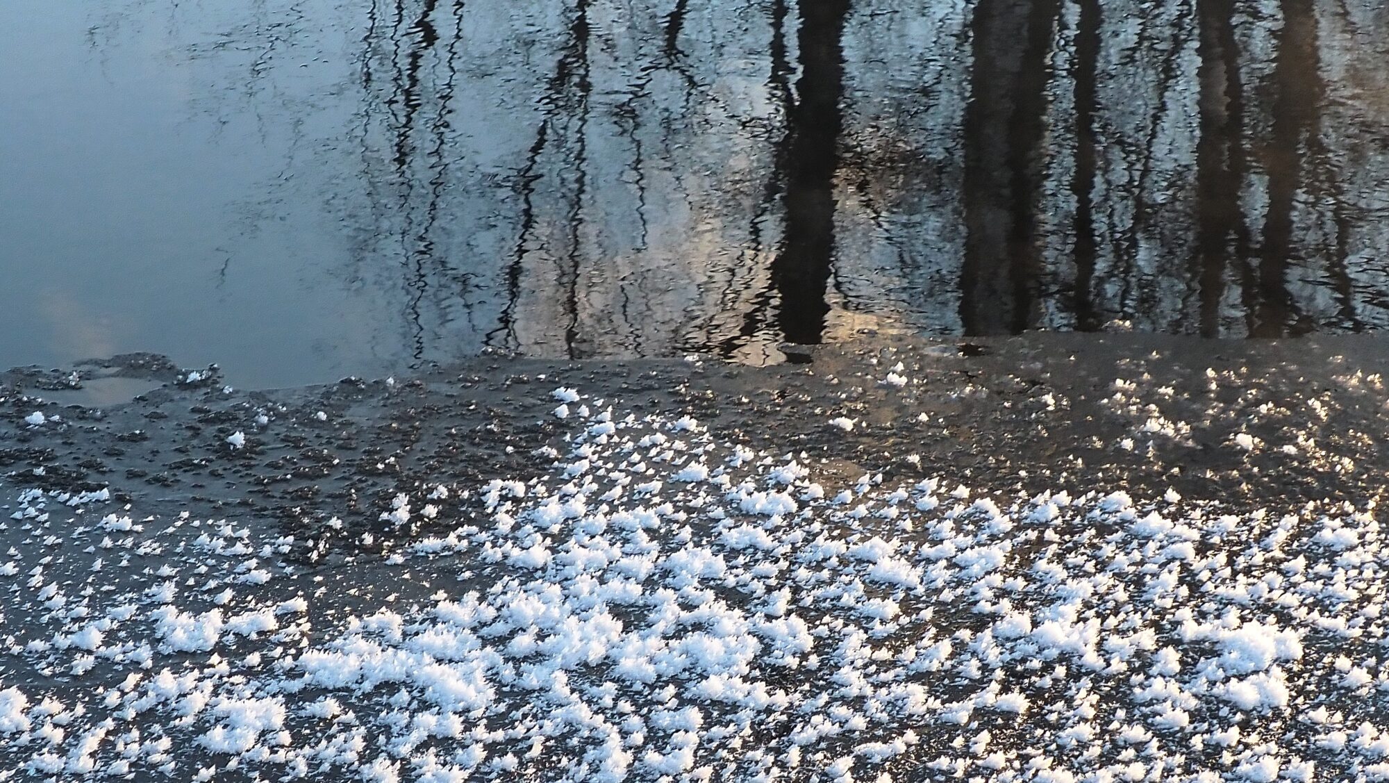 Valokuvaaja: Arja Valtonen