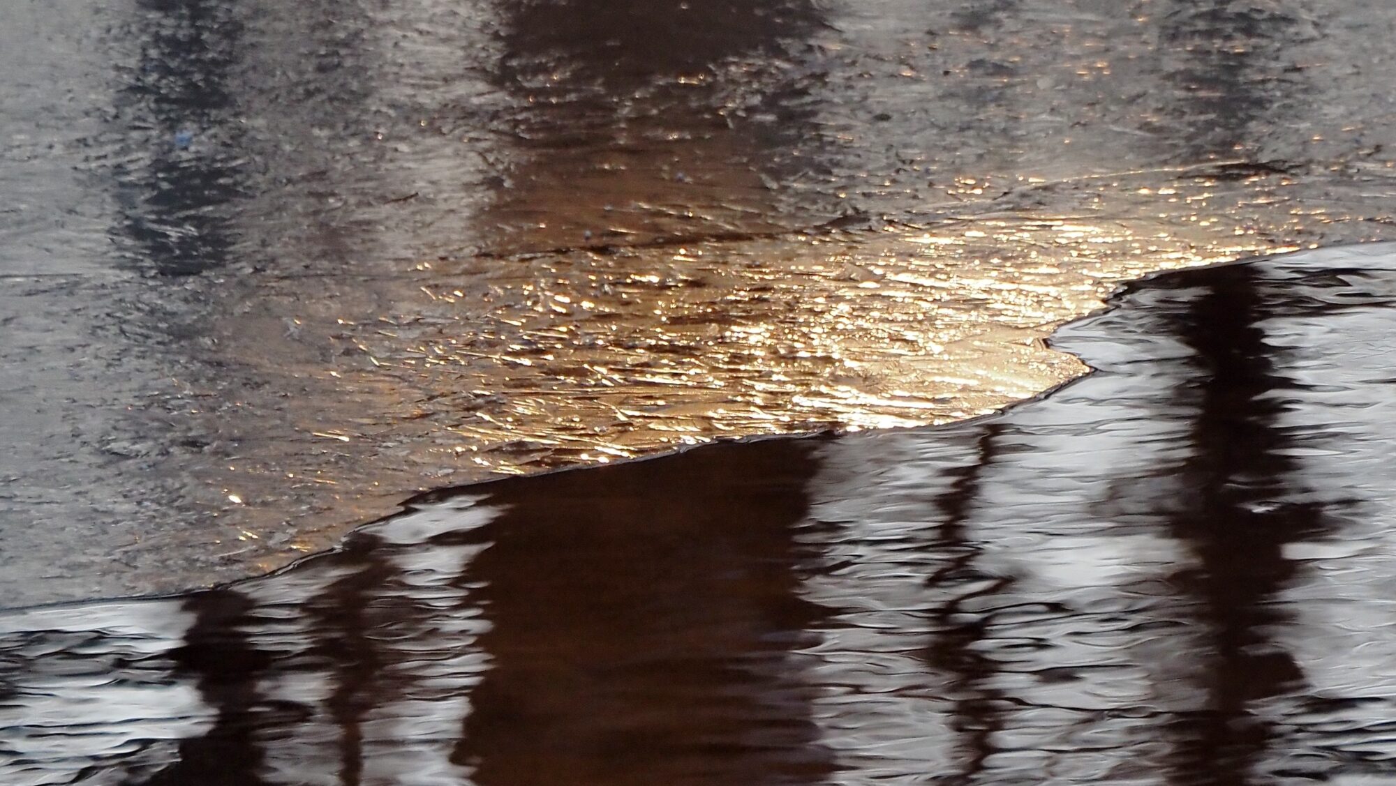 Valokuvaaja: Arja Valtonen