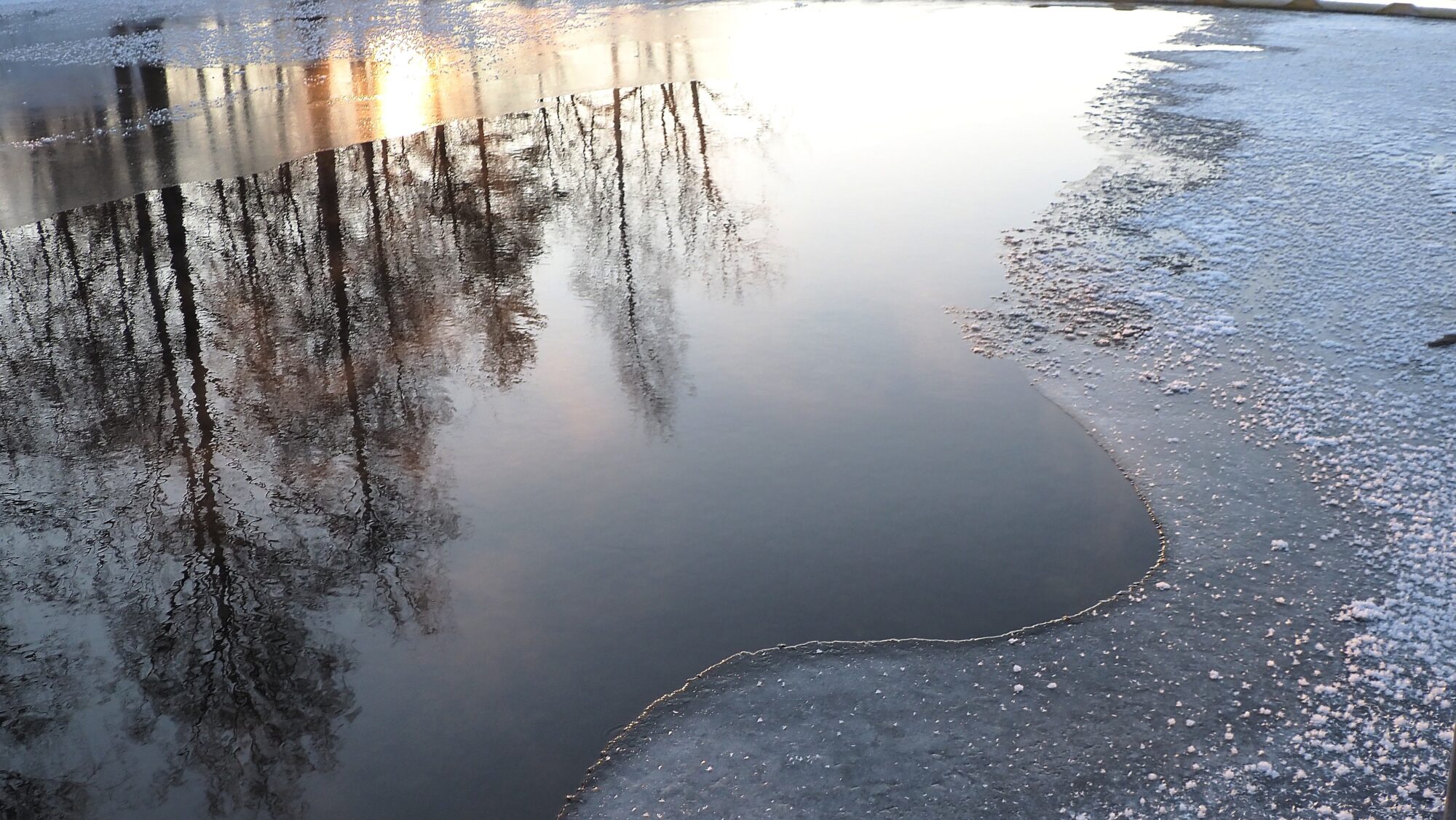 Valokuvaaja: Arja Valtonen