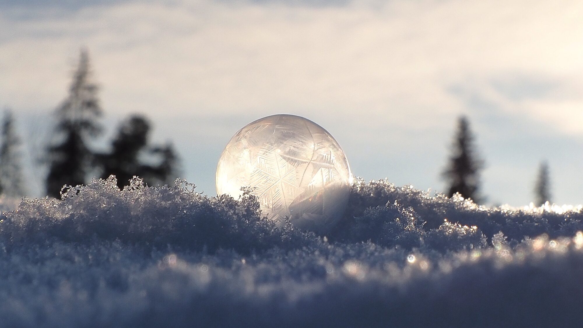 Valokuvaaja: Arja Valtonen