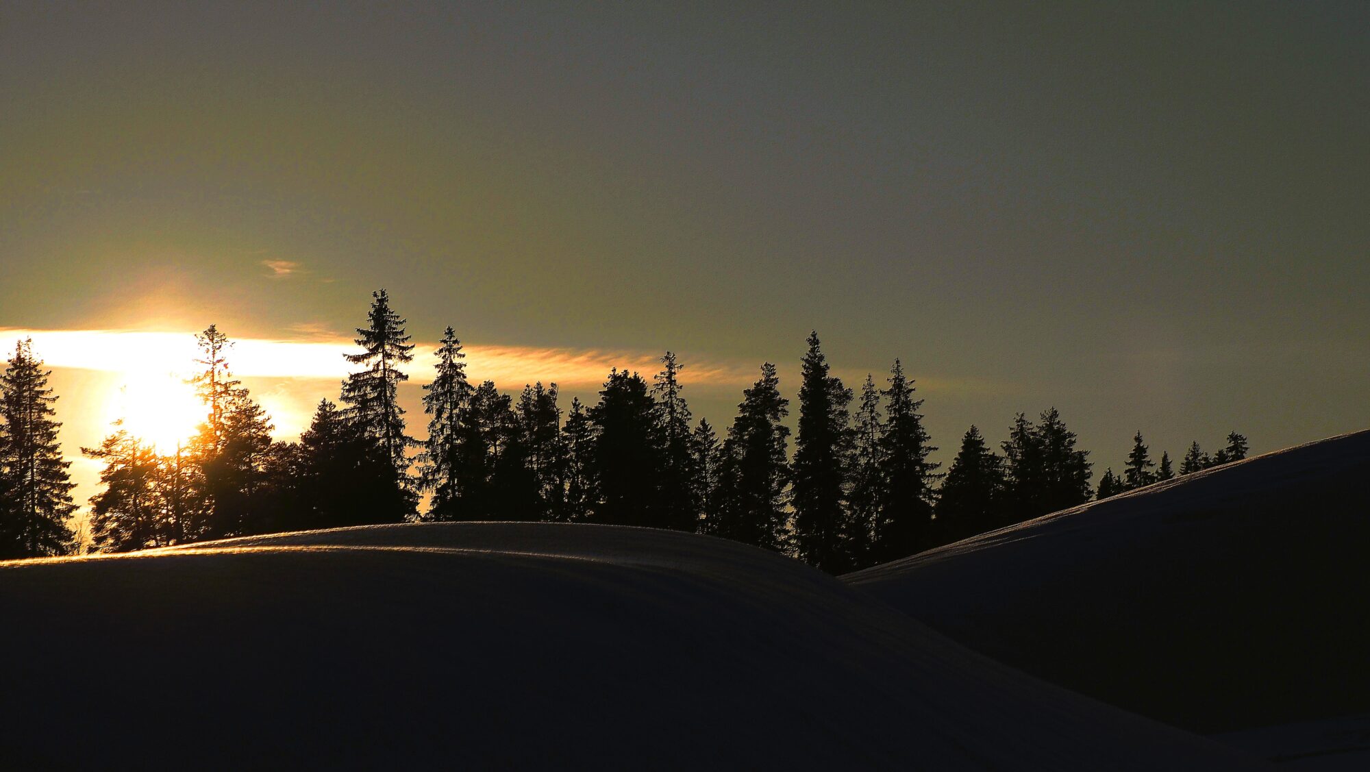 Valokuvaaja: Arja Valtonen