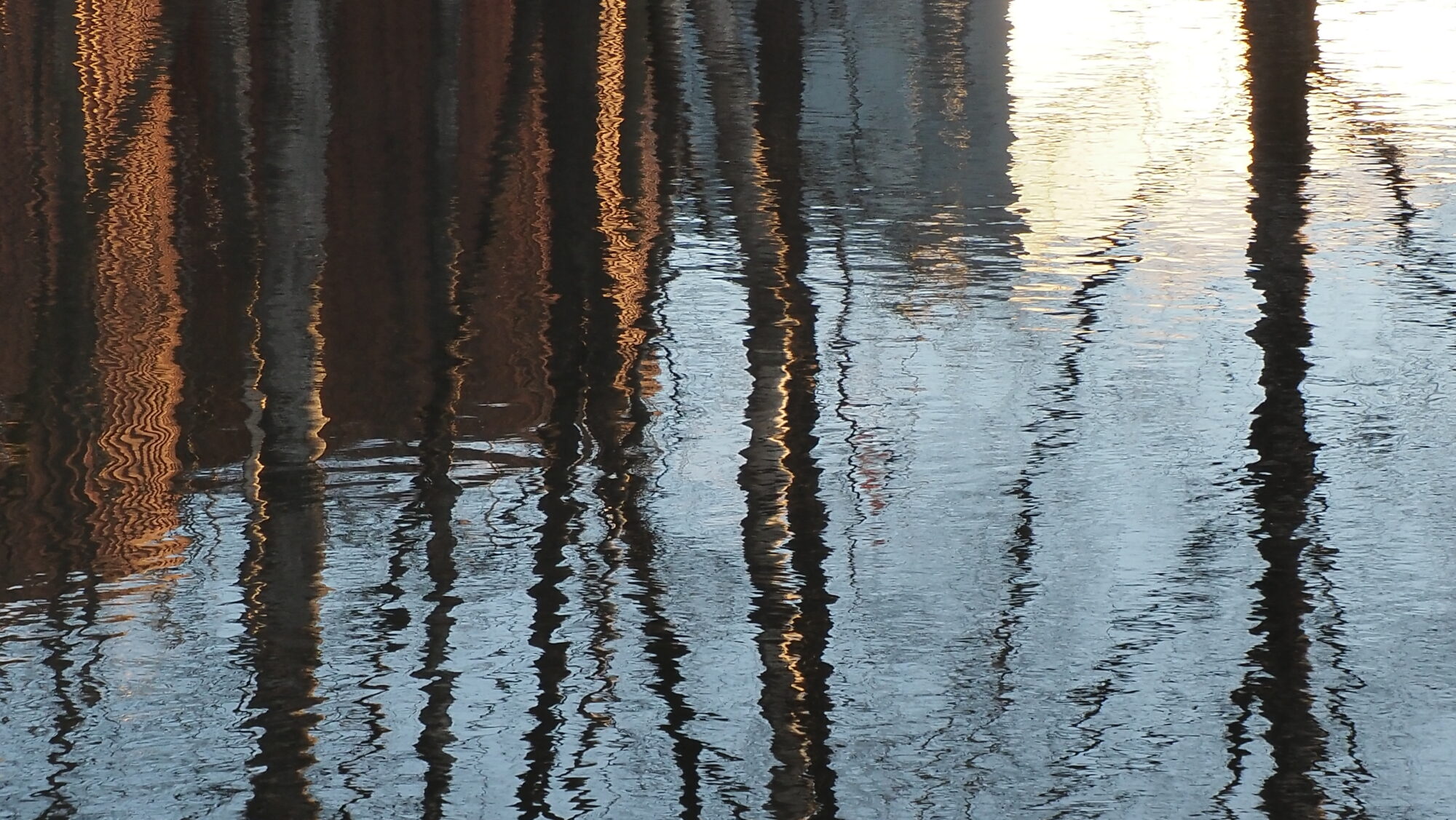 Valokuvaaja: Arja Valtonen