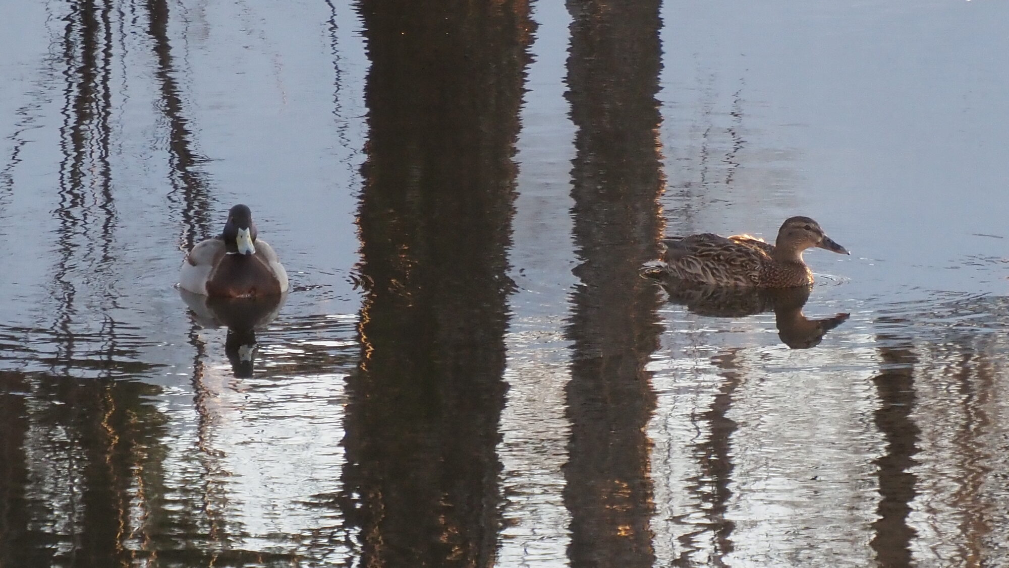 Valokuvaaja: Arja Valtonen