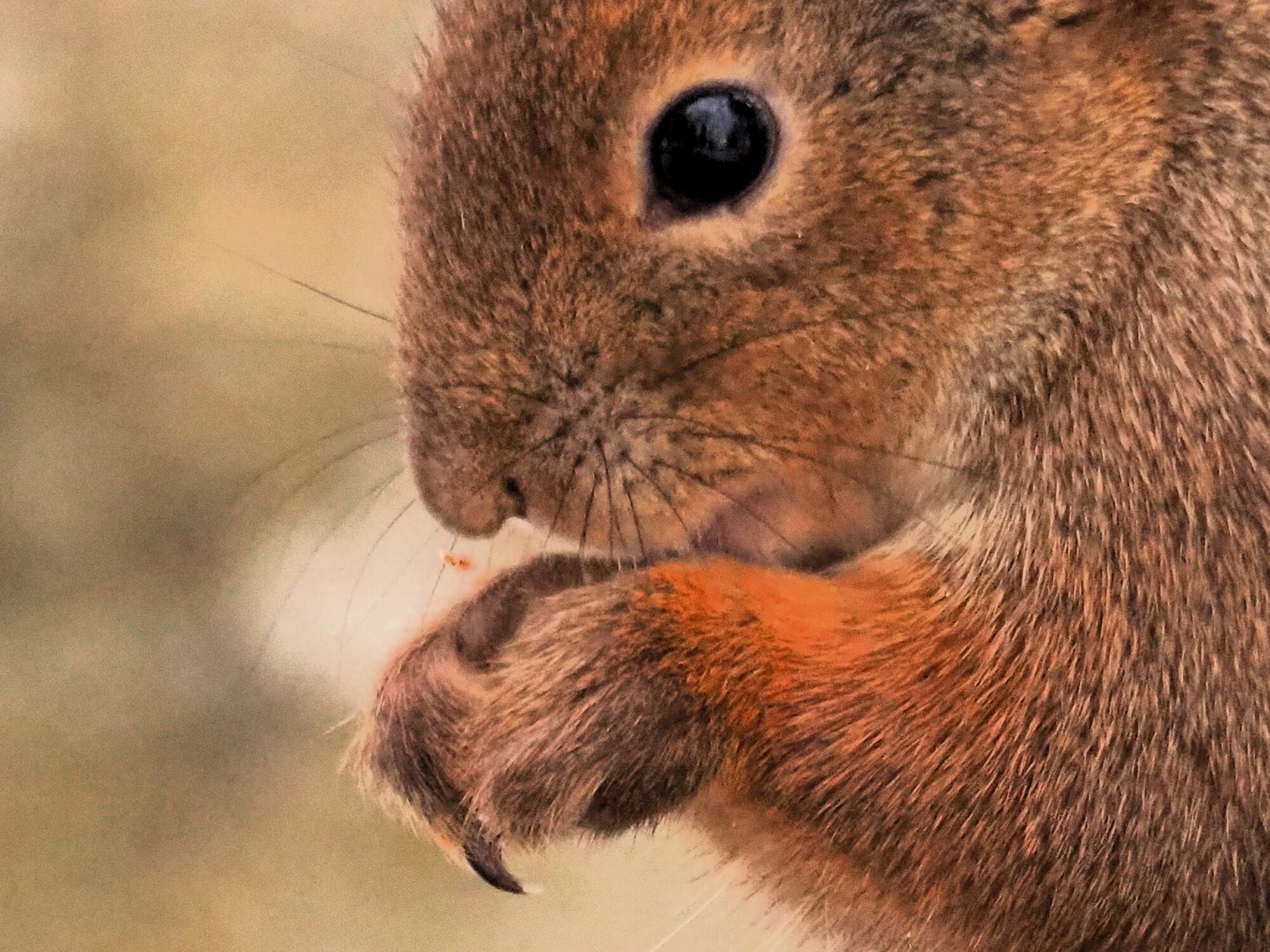 Valokuvaaja: Martti Valtonen