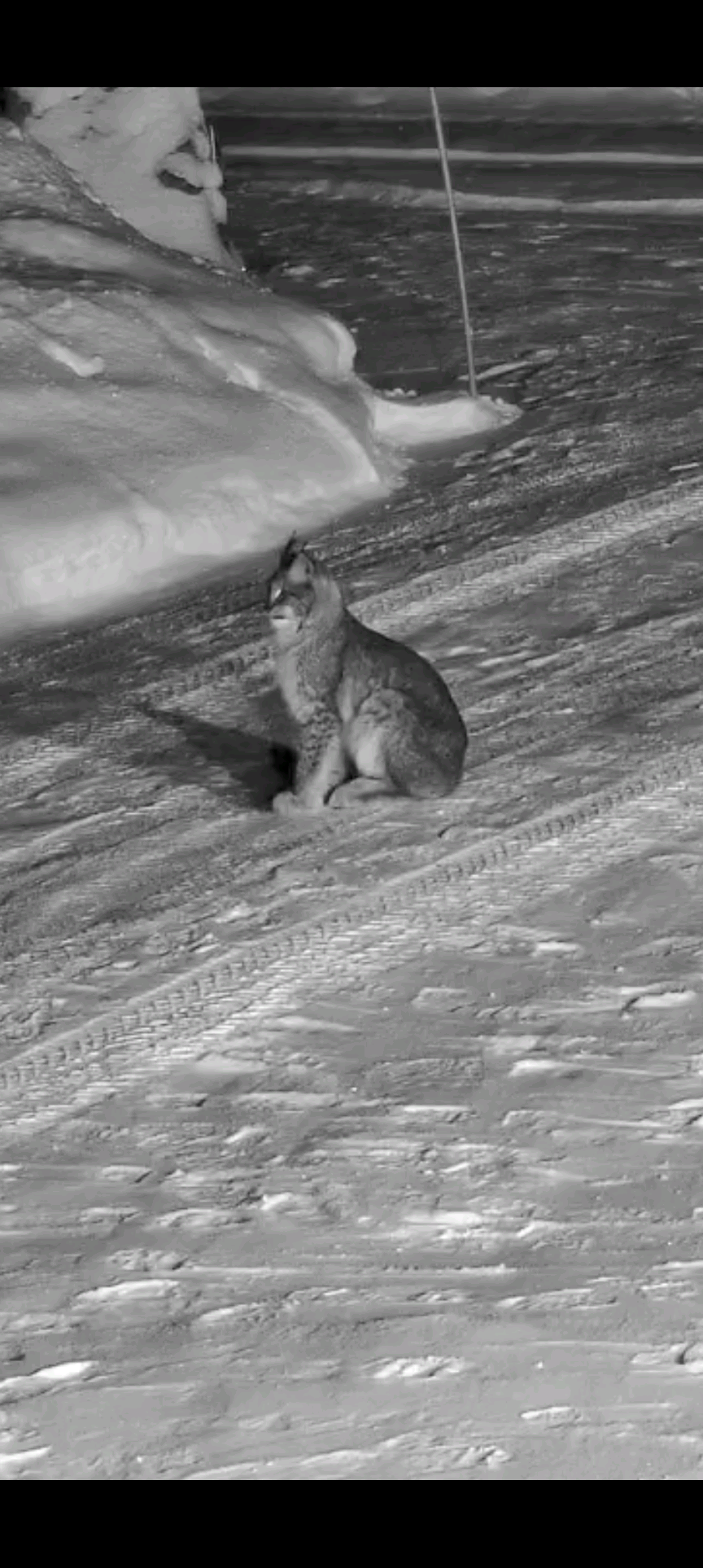 Valokuvaaja: Jukka Reittu