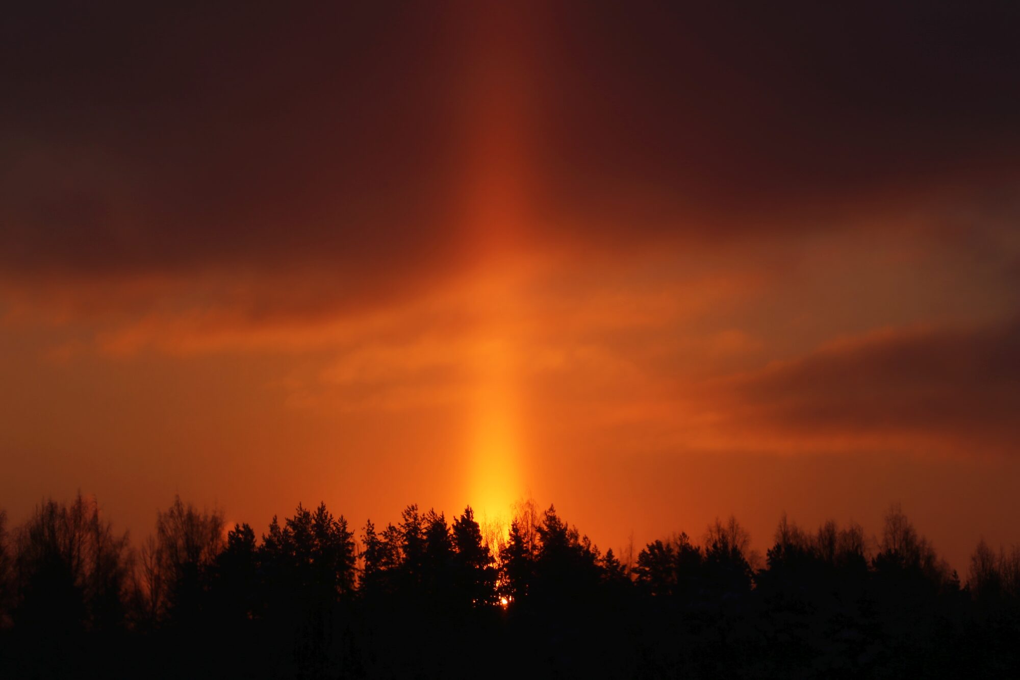 Valokuvaaja: Jaana Saarelainen