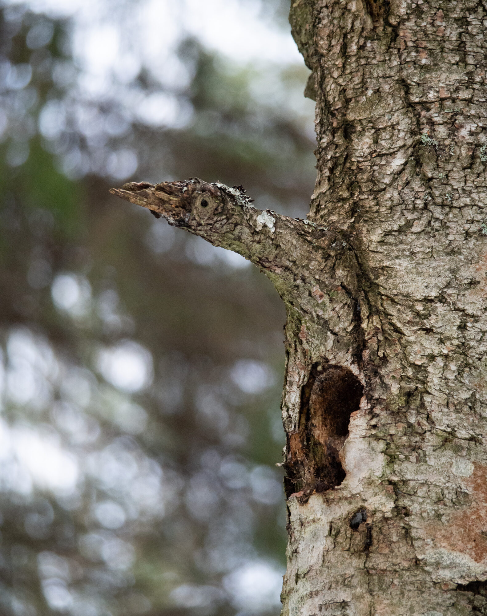 Valokuvaaja: Sirkka Karppinen