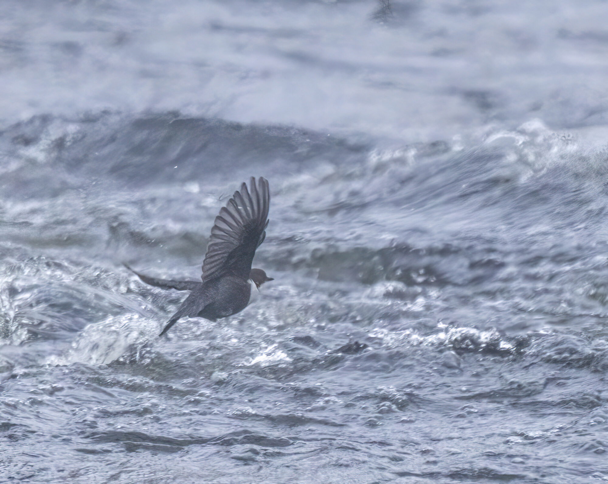 Valokuvaaja: Hannu Tikkanen Valokuvaaja: Hannu Tikkanen