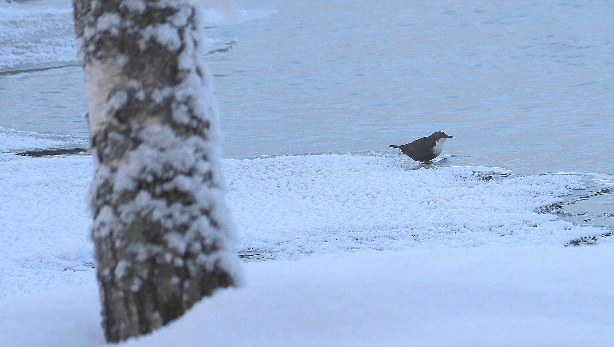Valokuvaaja: sirpa Jyske