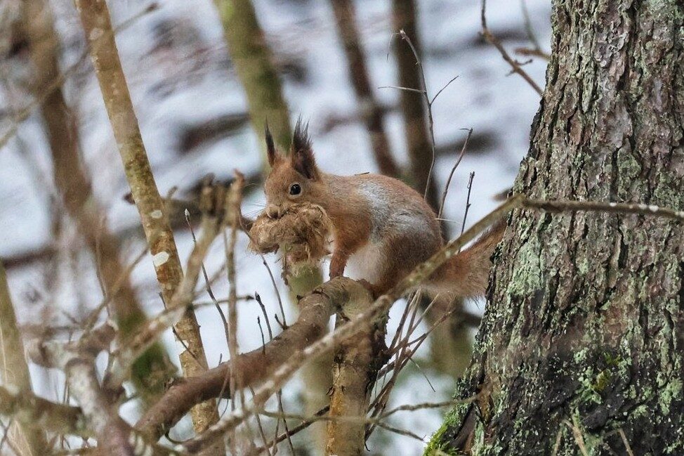 Valokuvaaja: Susanna Hannula