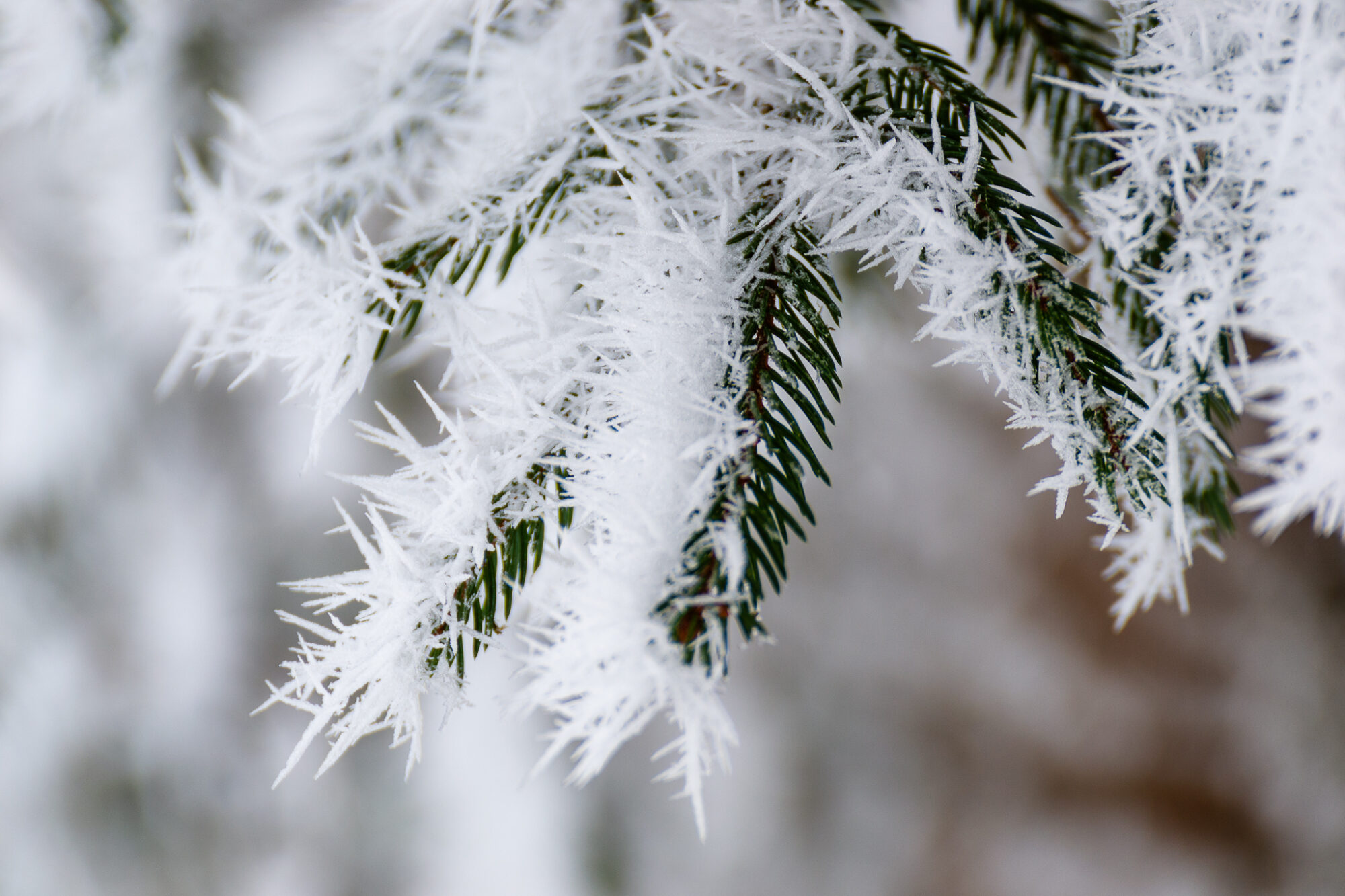 Valokuvaaja: Helena Minkkilä