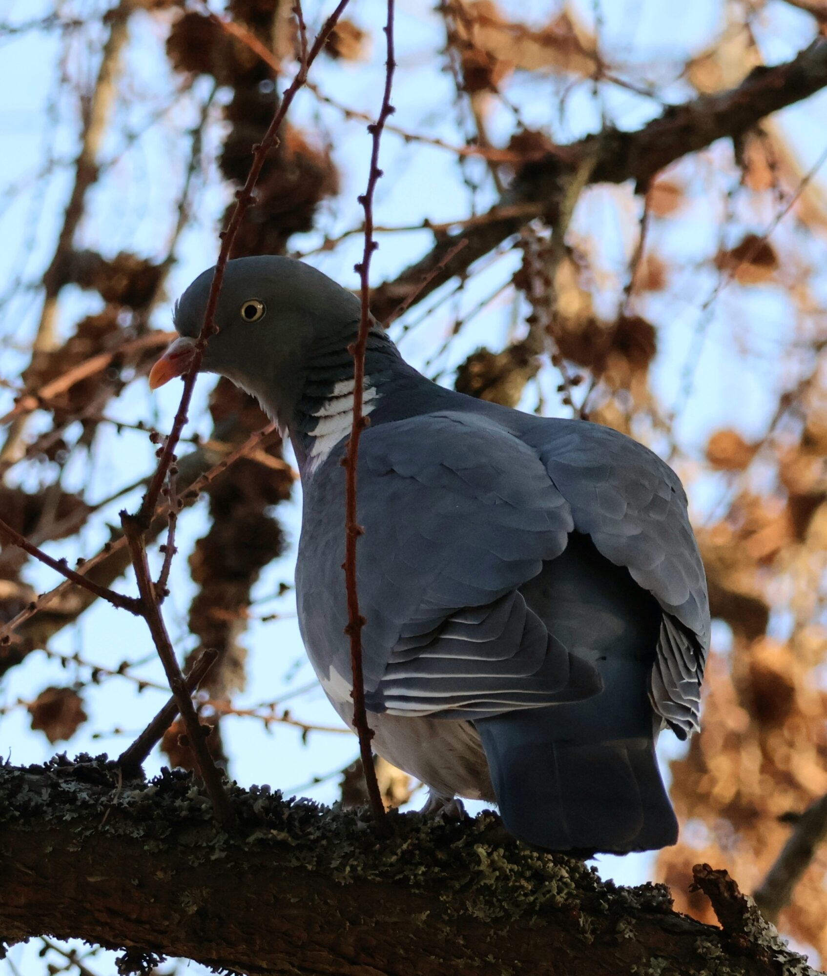 Valokuvaaja: Hanna Rönty