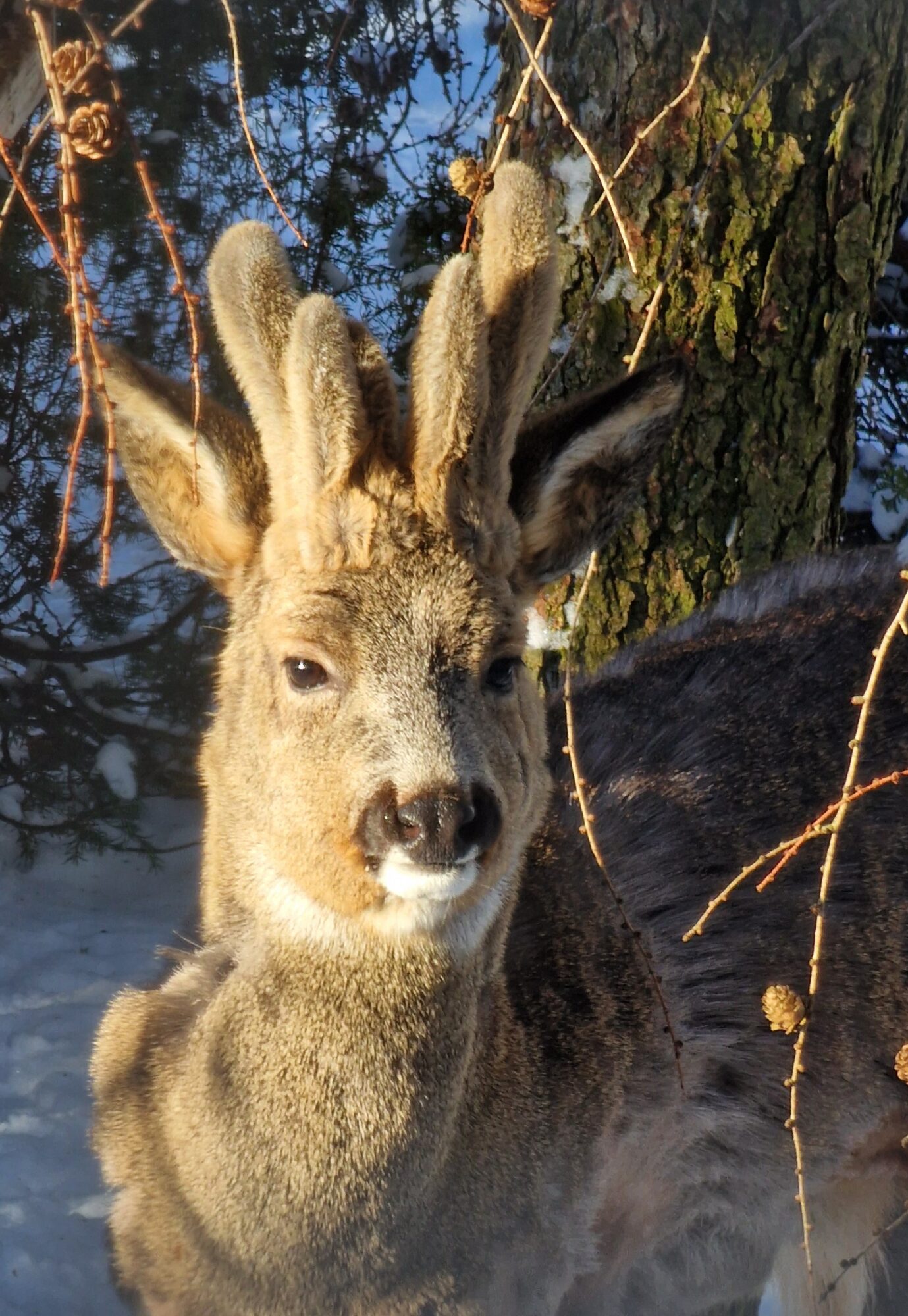 Valokuvaaja: Hanna Rönty